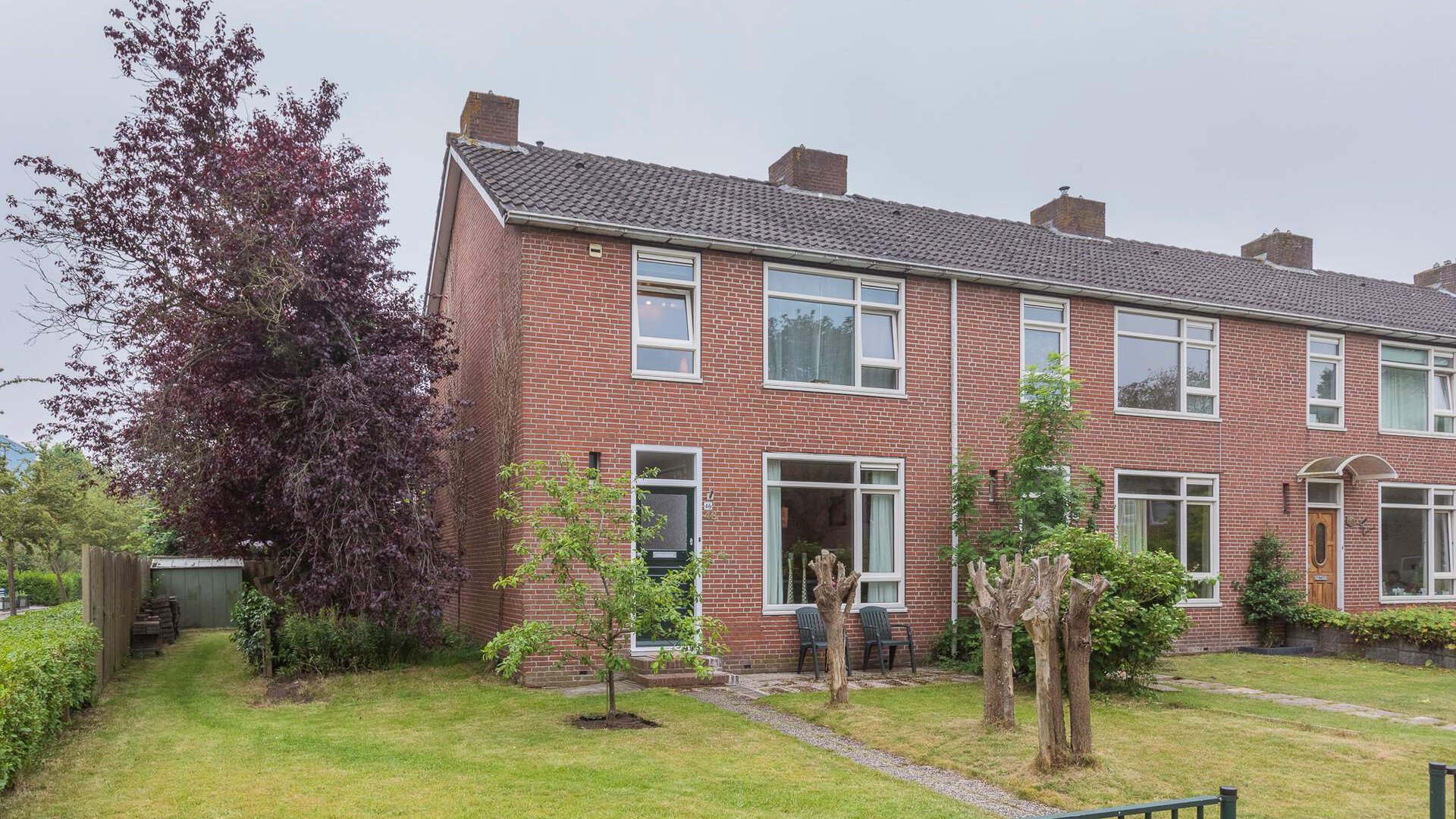 Een hert