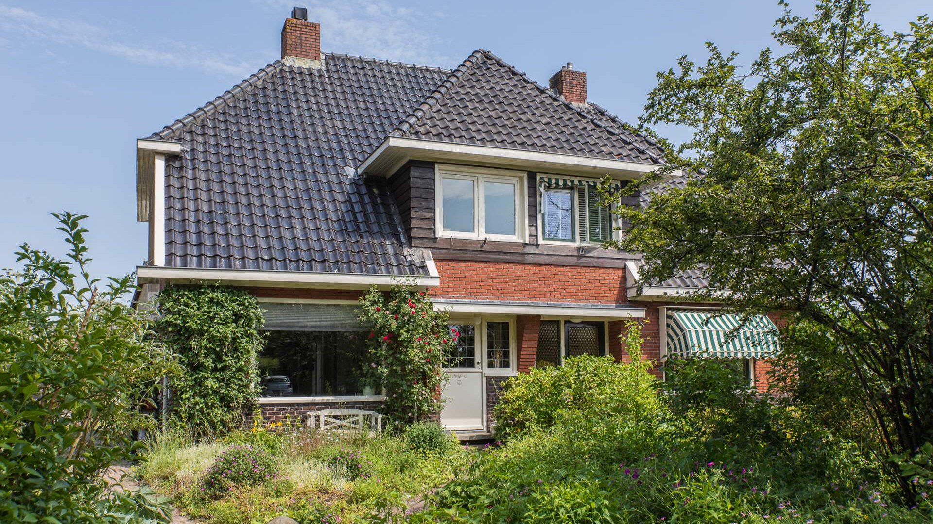 Een hert
