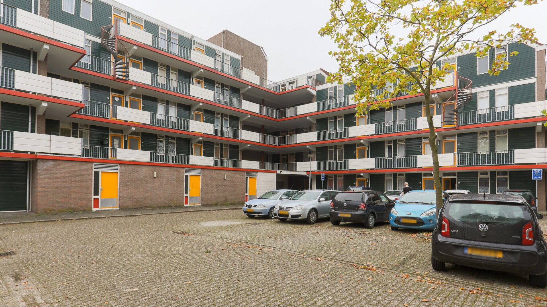 Een hert