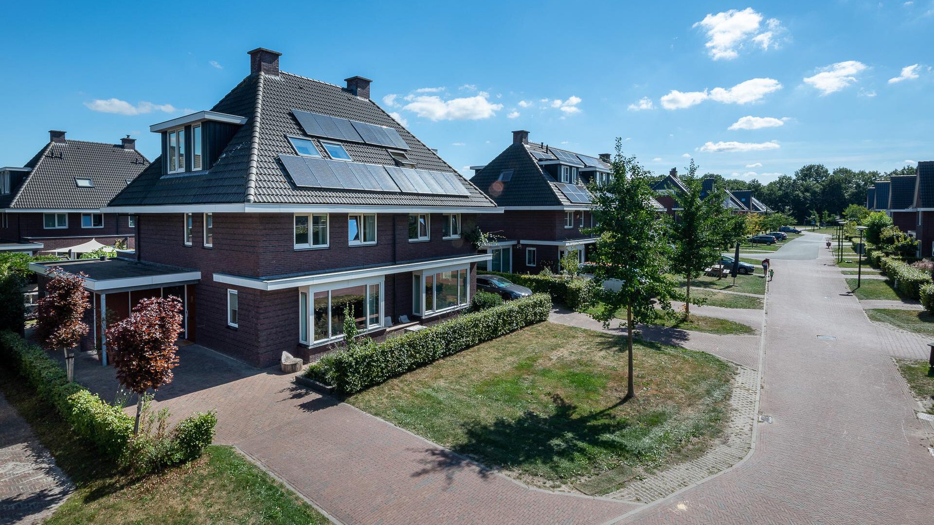 Een hert