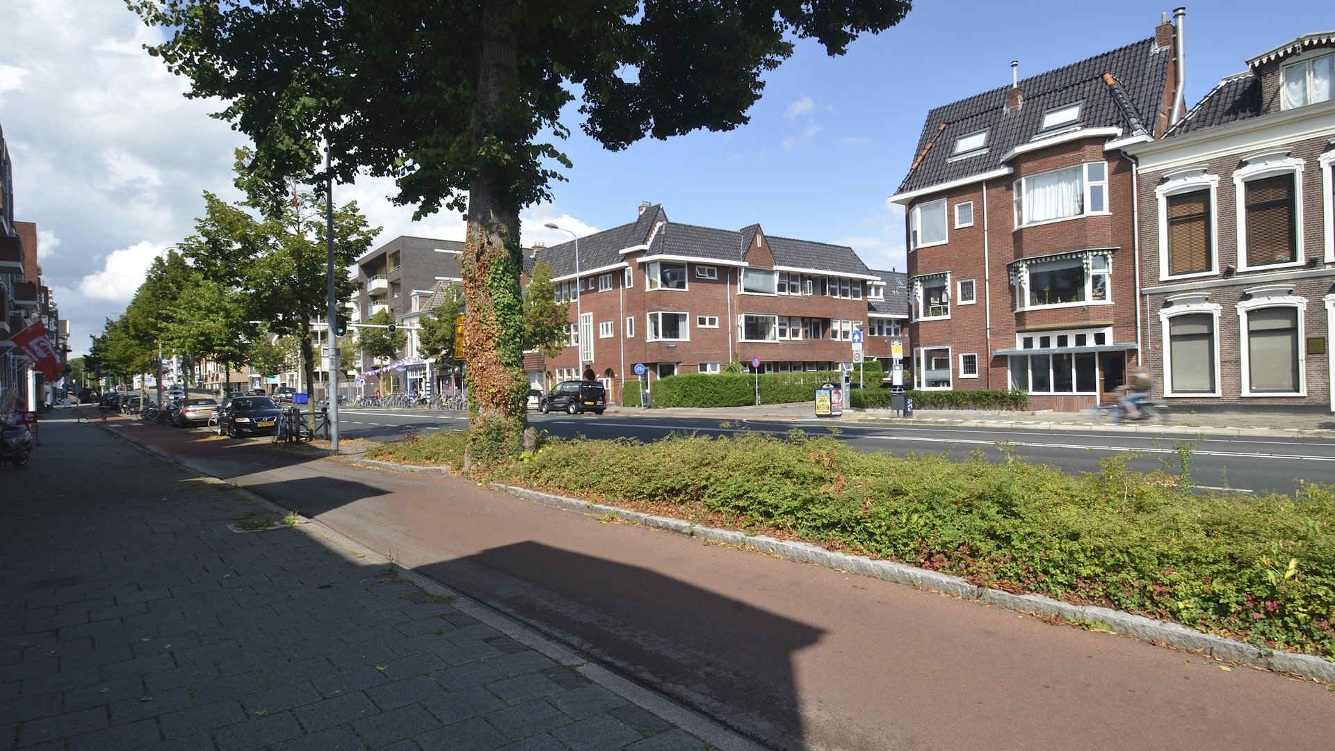 Een hert