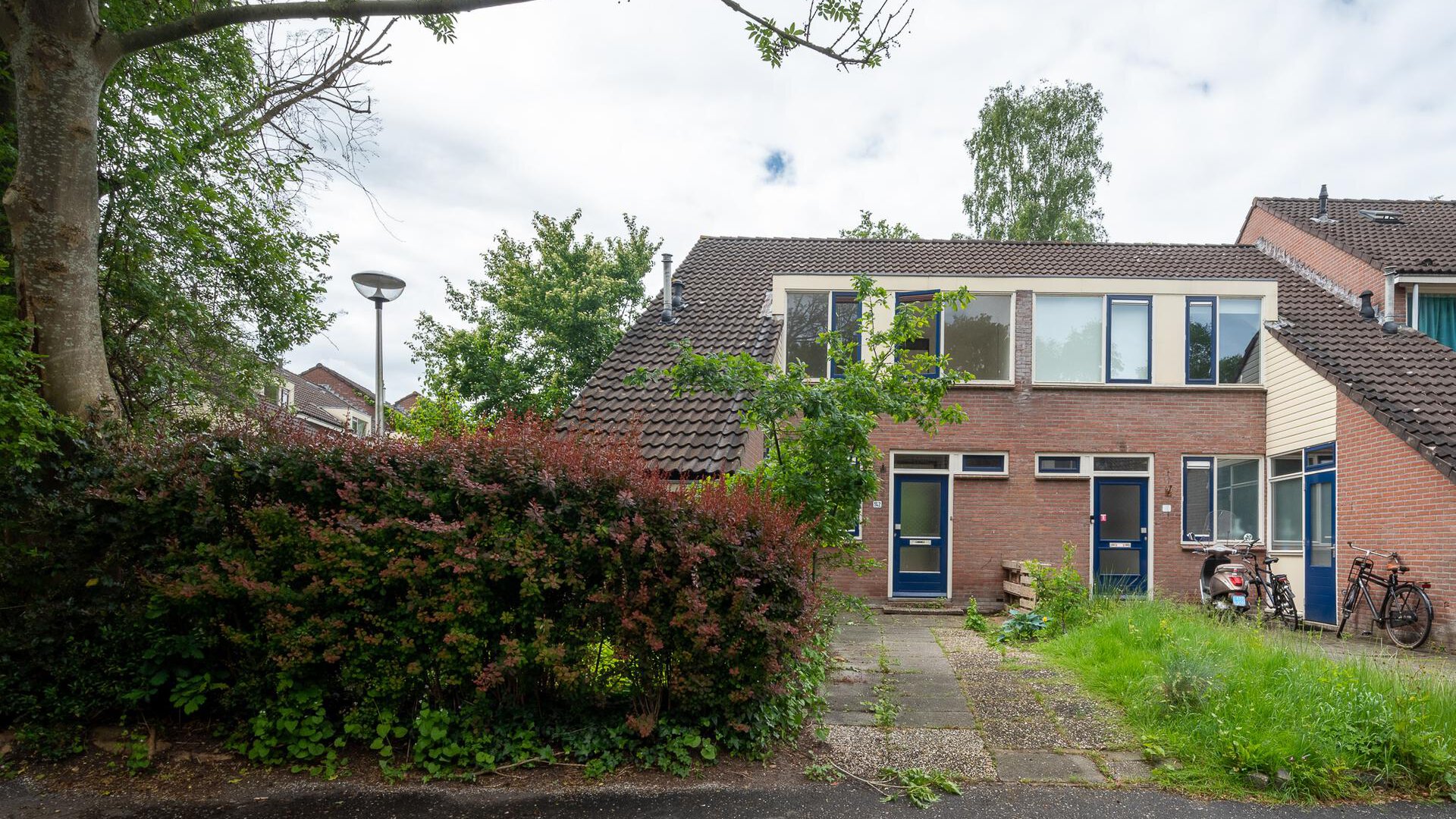 Een hert