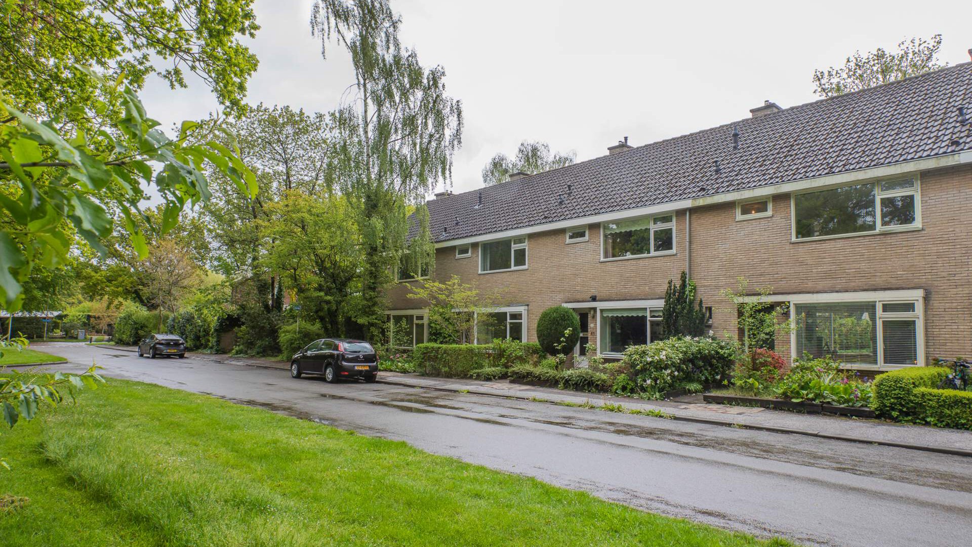 Een hert