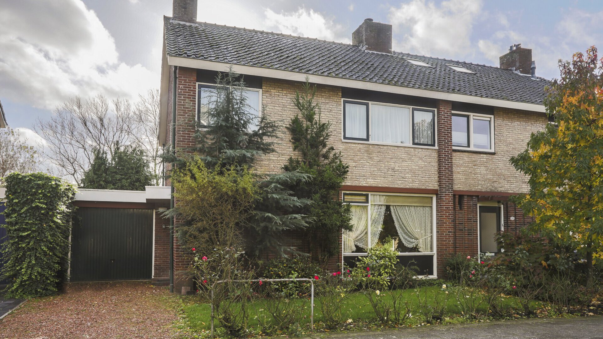 Een hert
