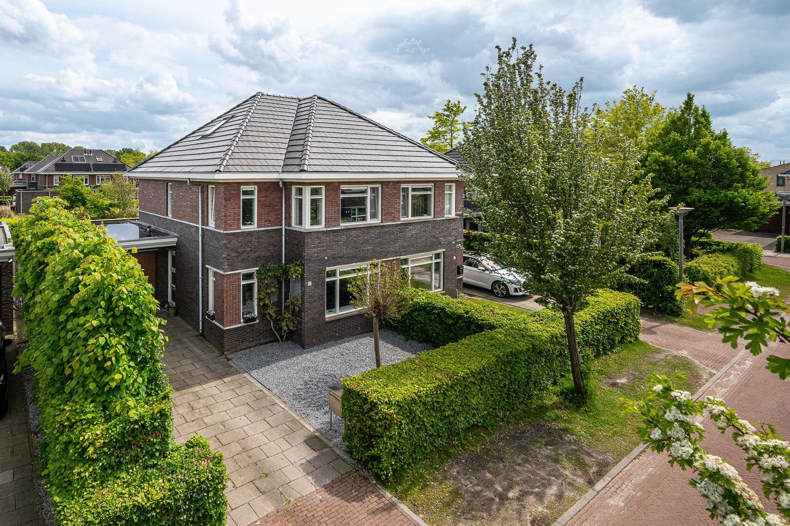 Een hert
