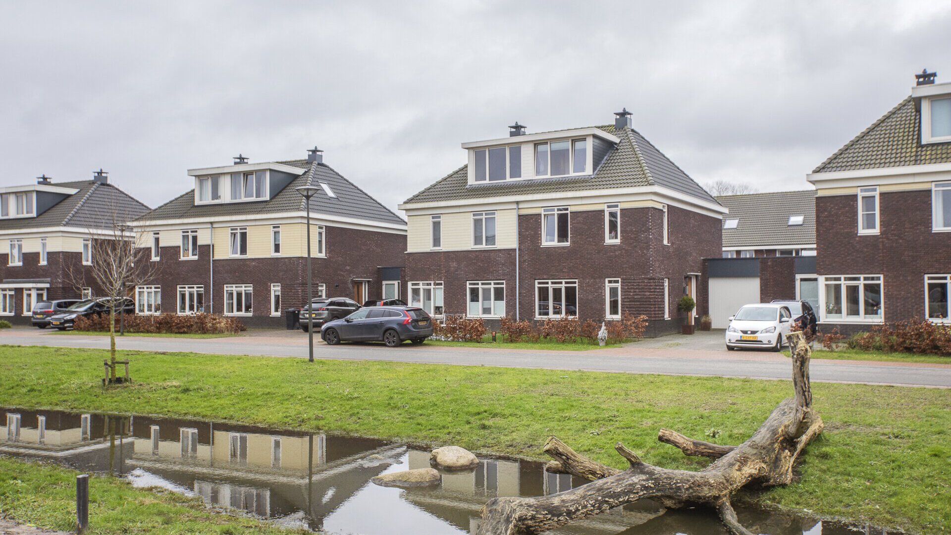 Een hert