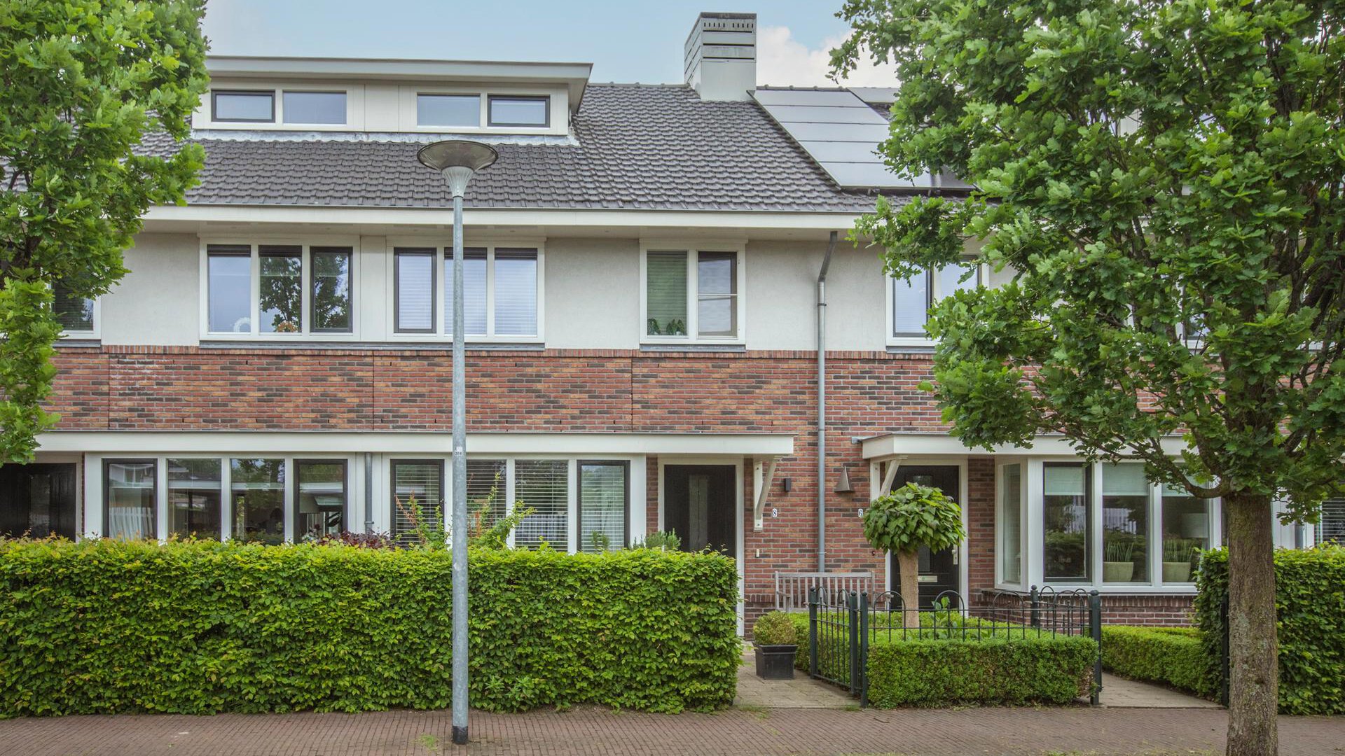Een hert