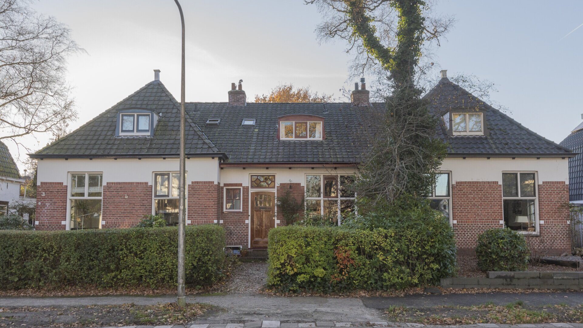 Een hert