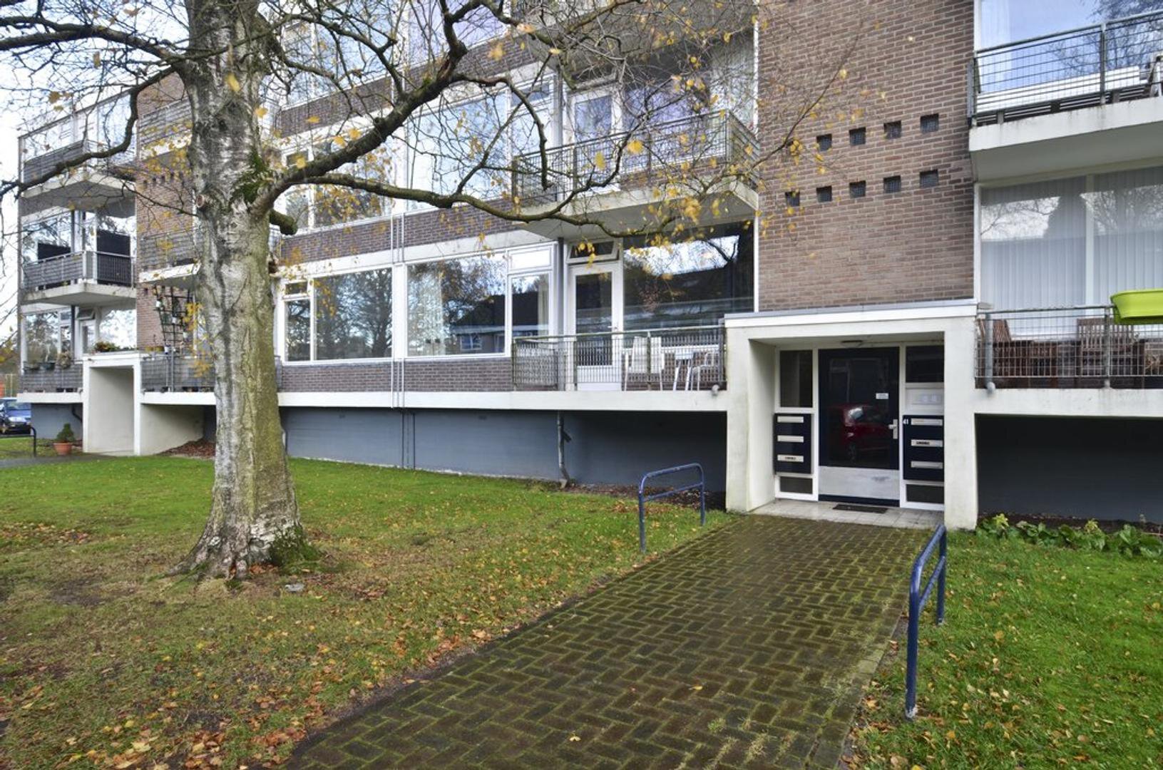 Een hert