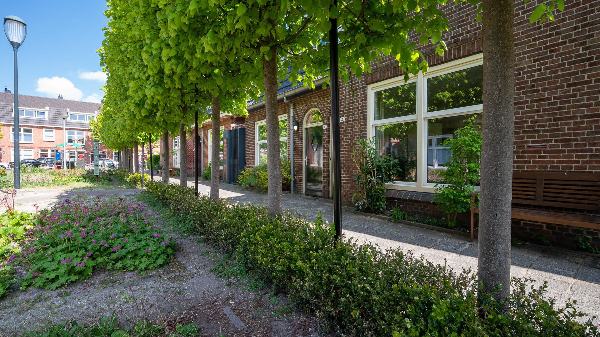 Een hert