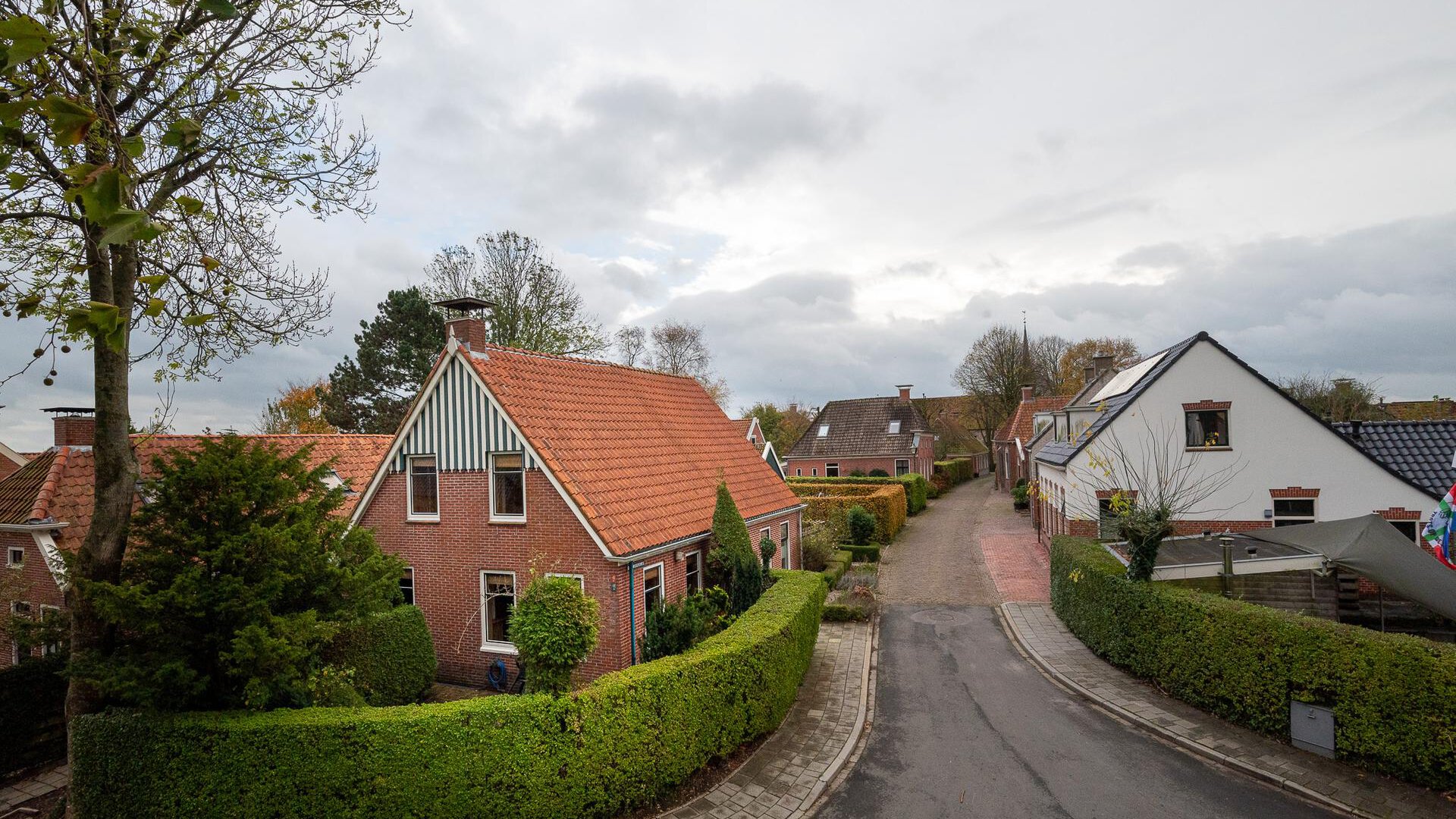 Een hert