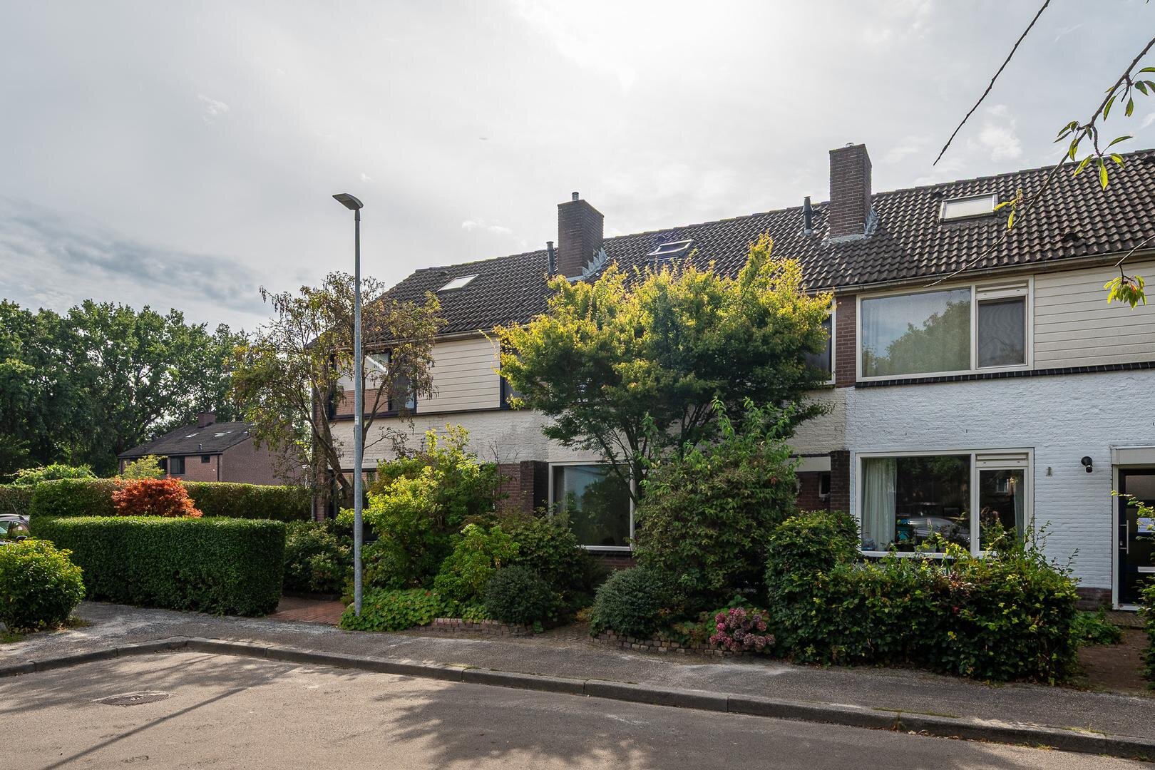 Een hert