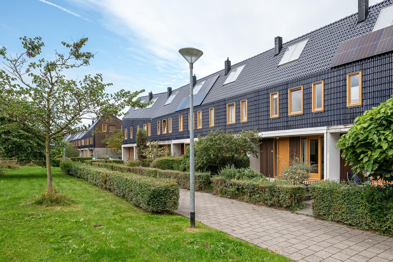 Een hert