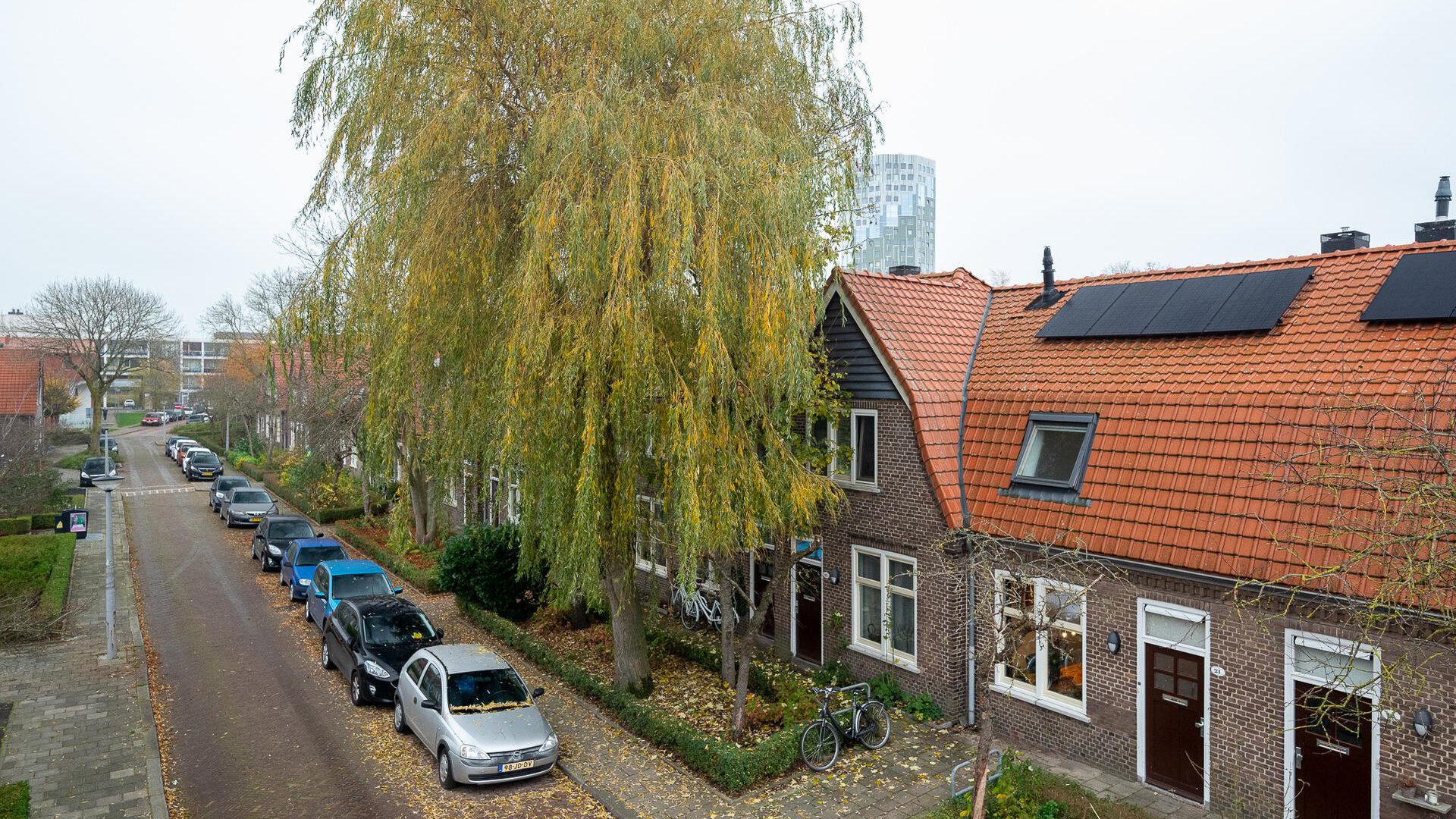 Een hert