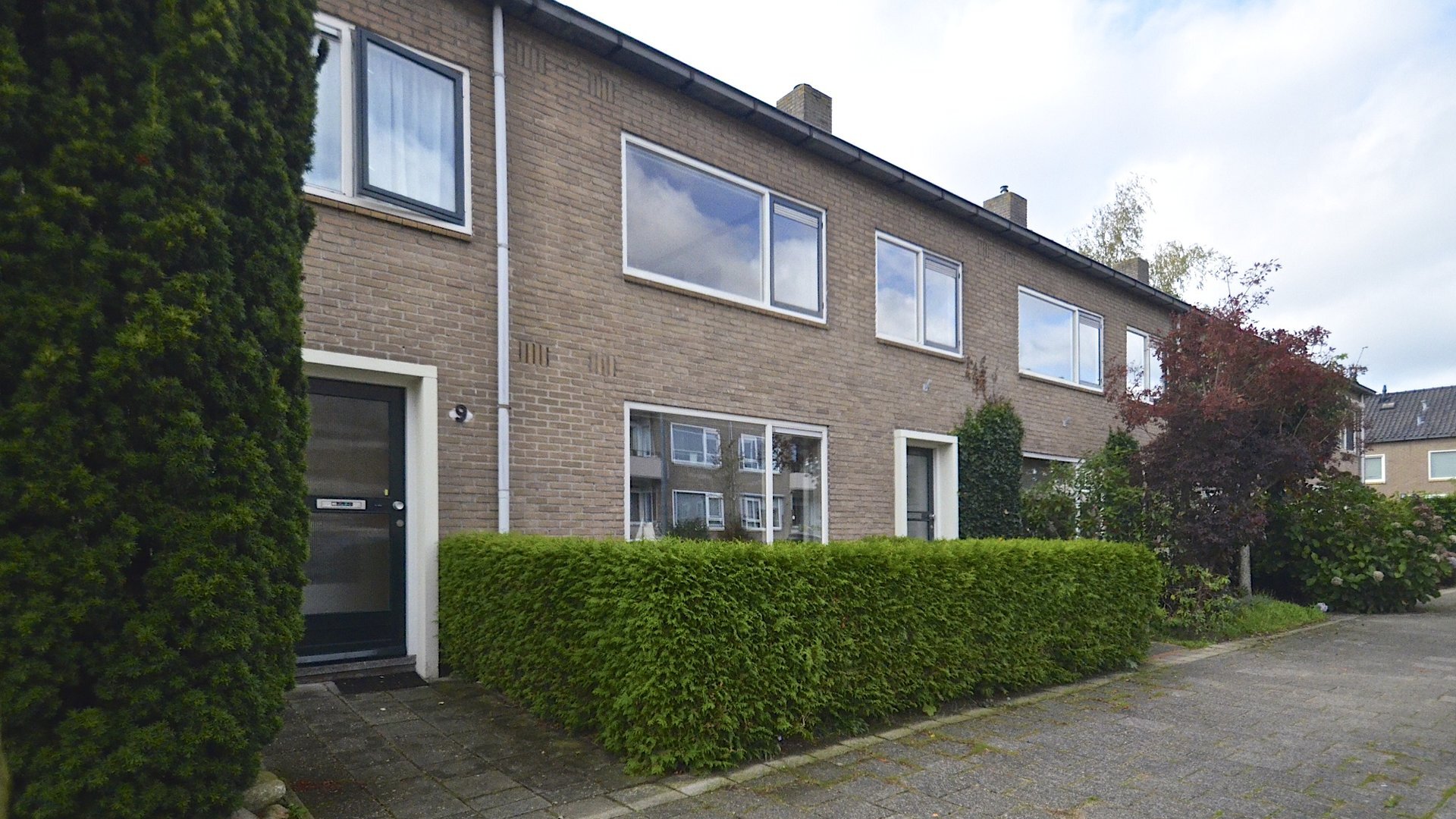Een hert