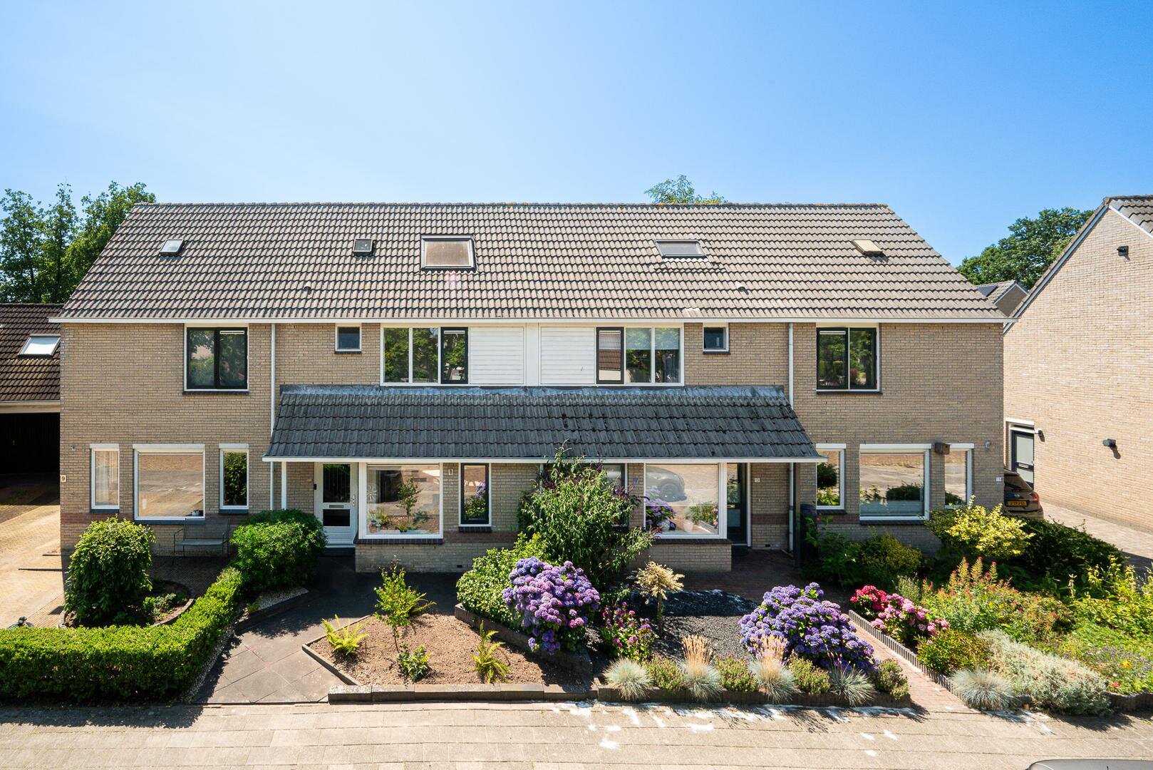 Een hert