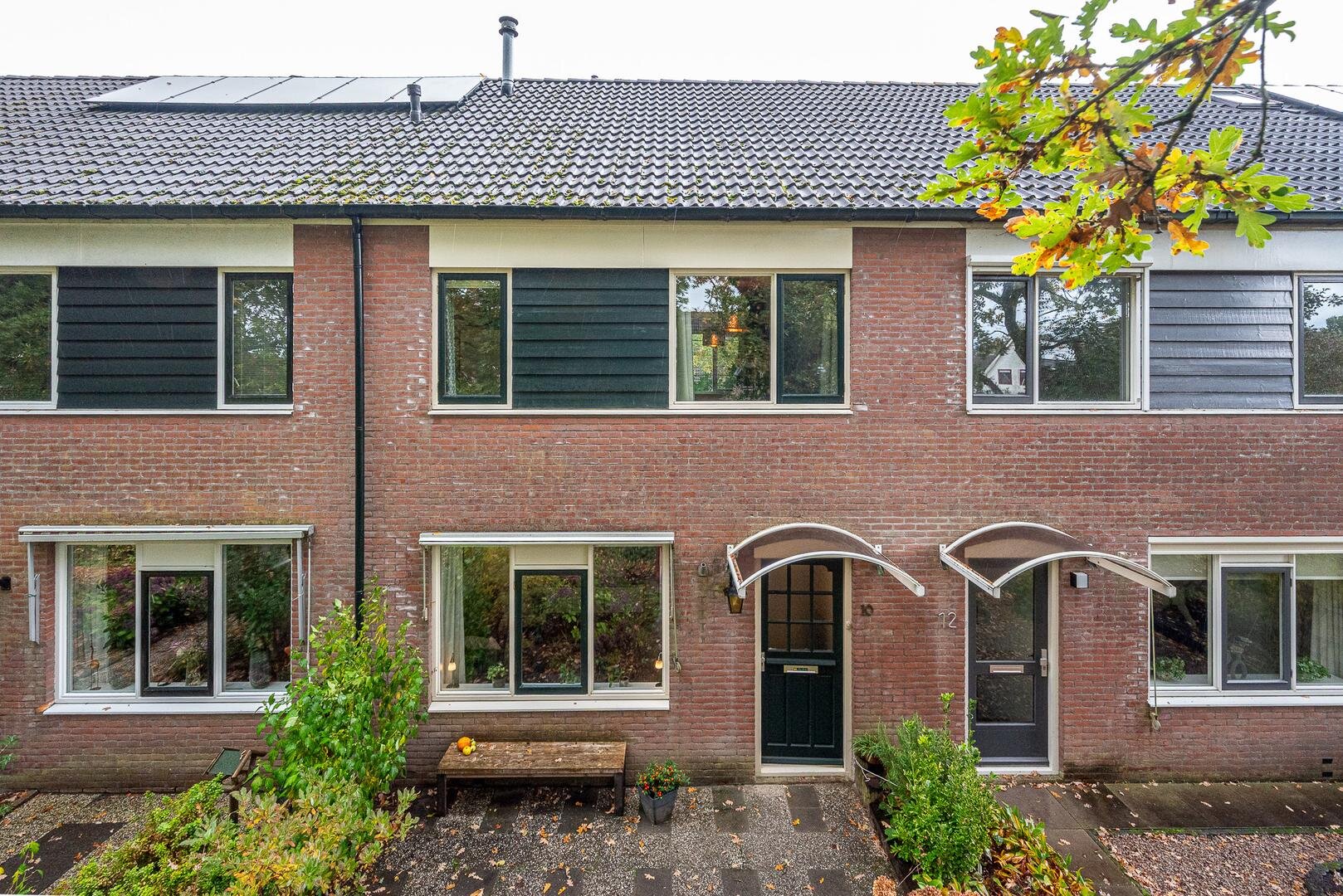 Een hert