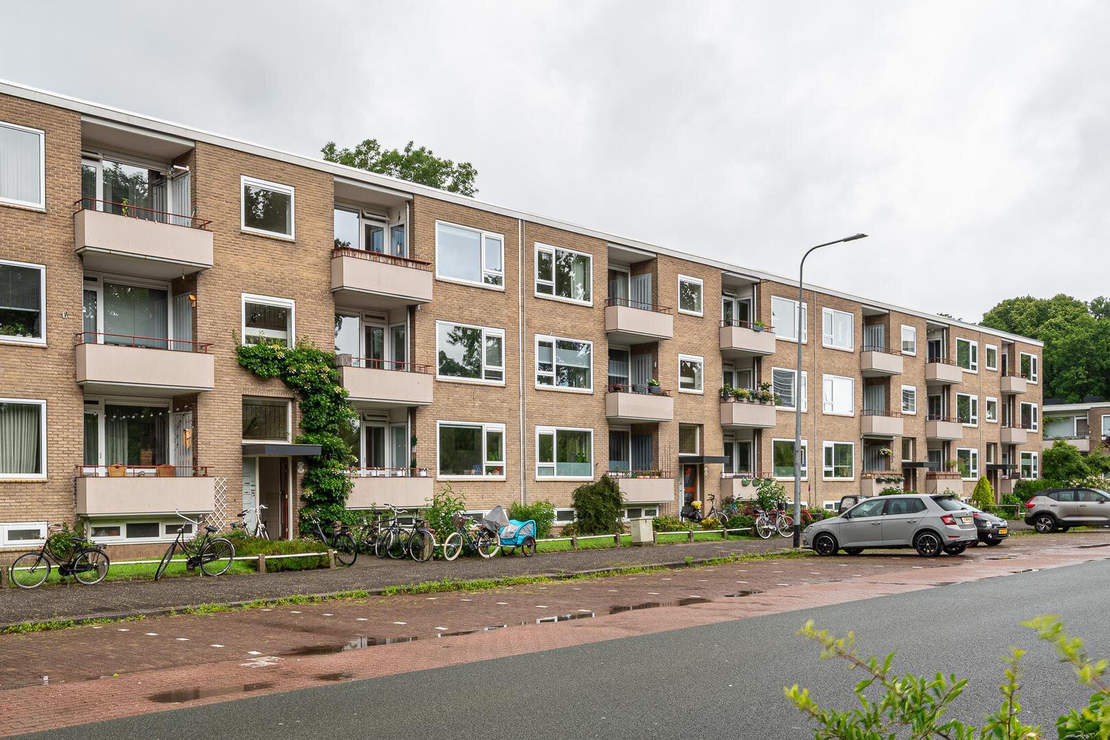 Een hert