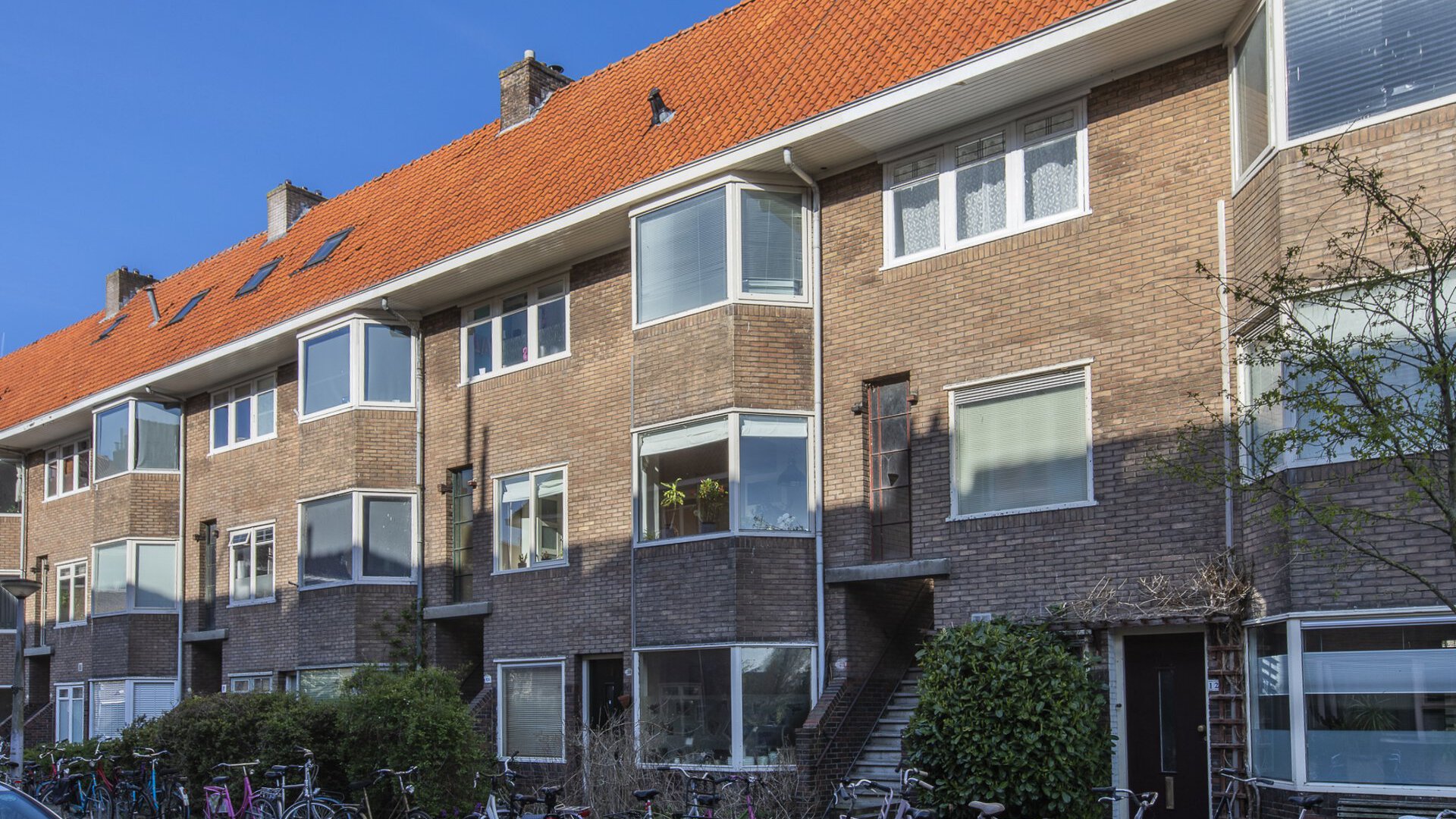 Een hert