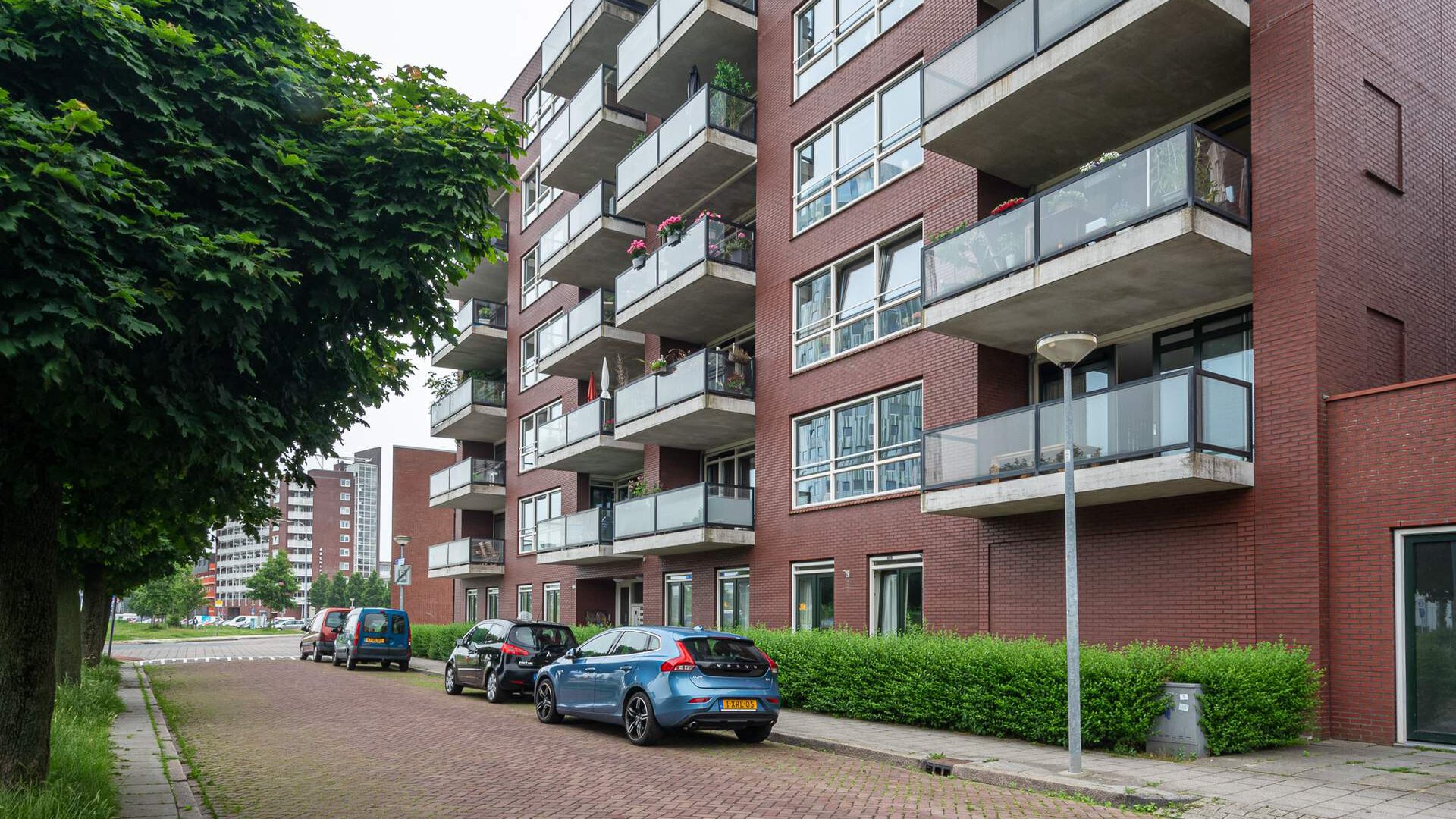 Een hert