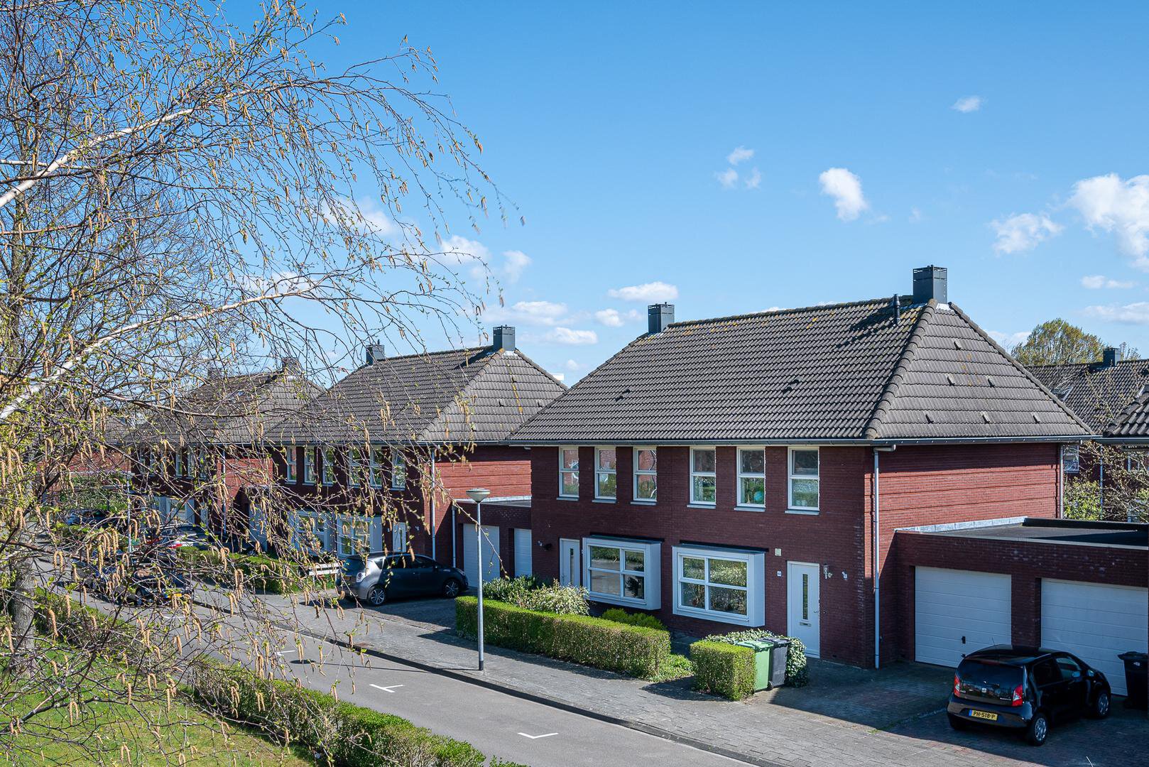 Een hert