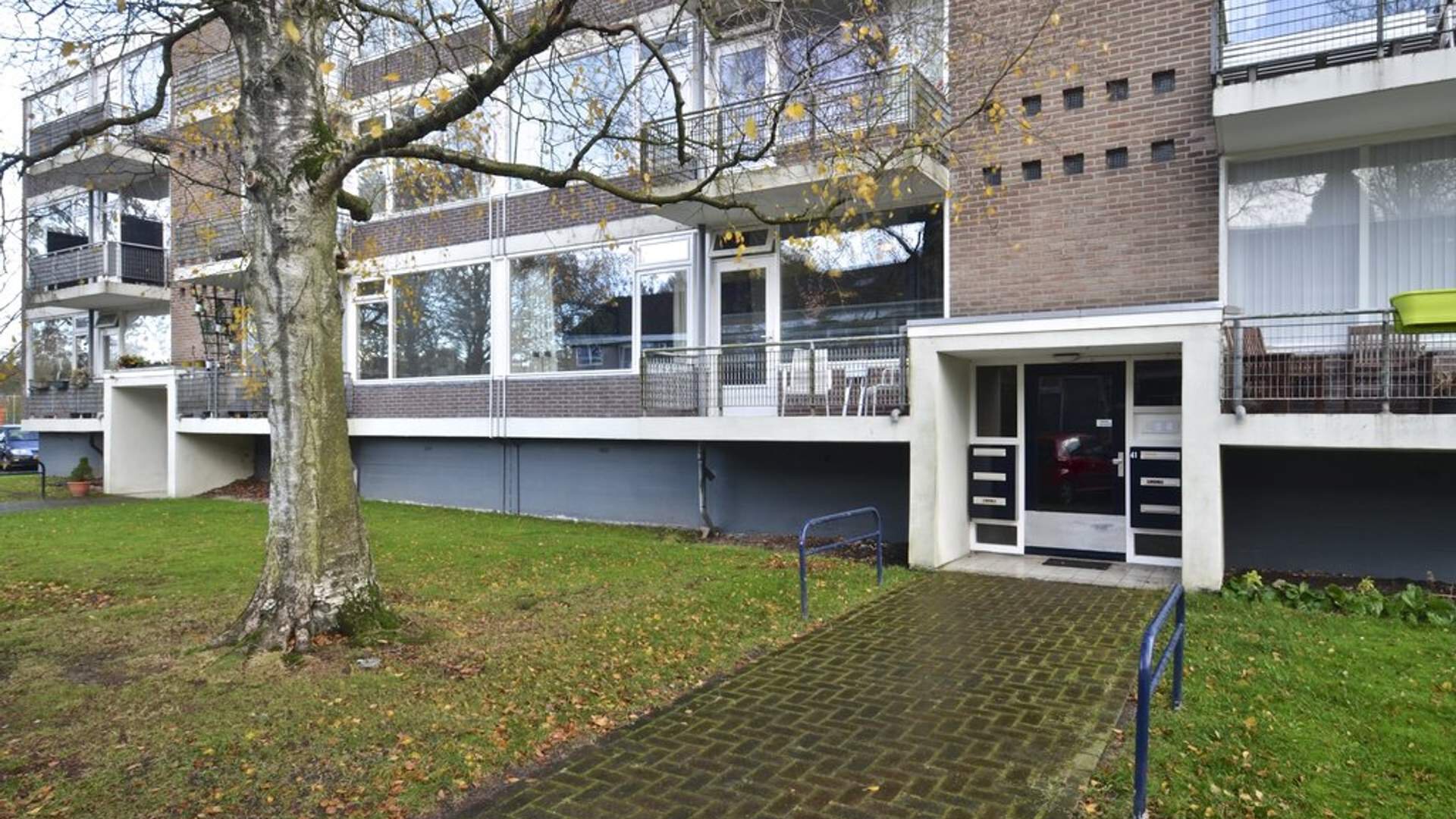Een hert