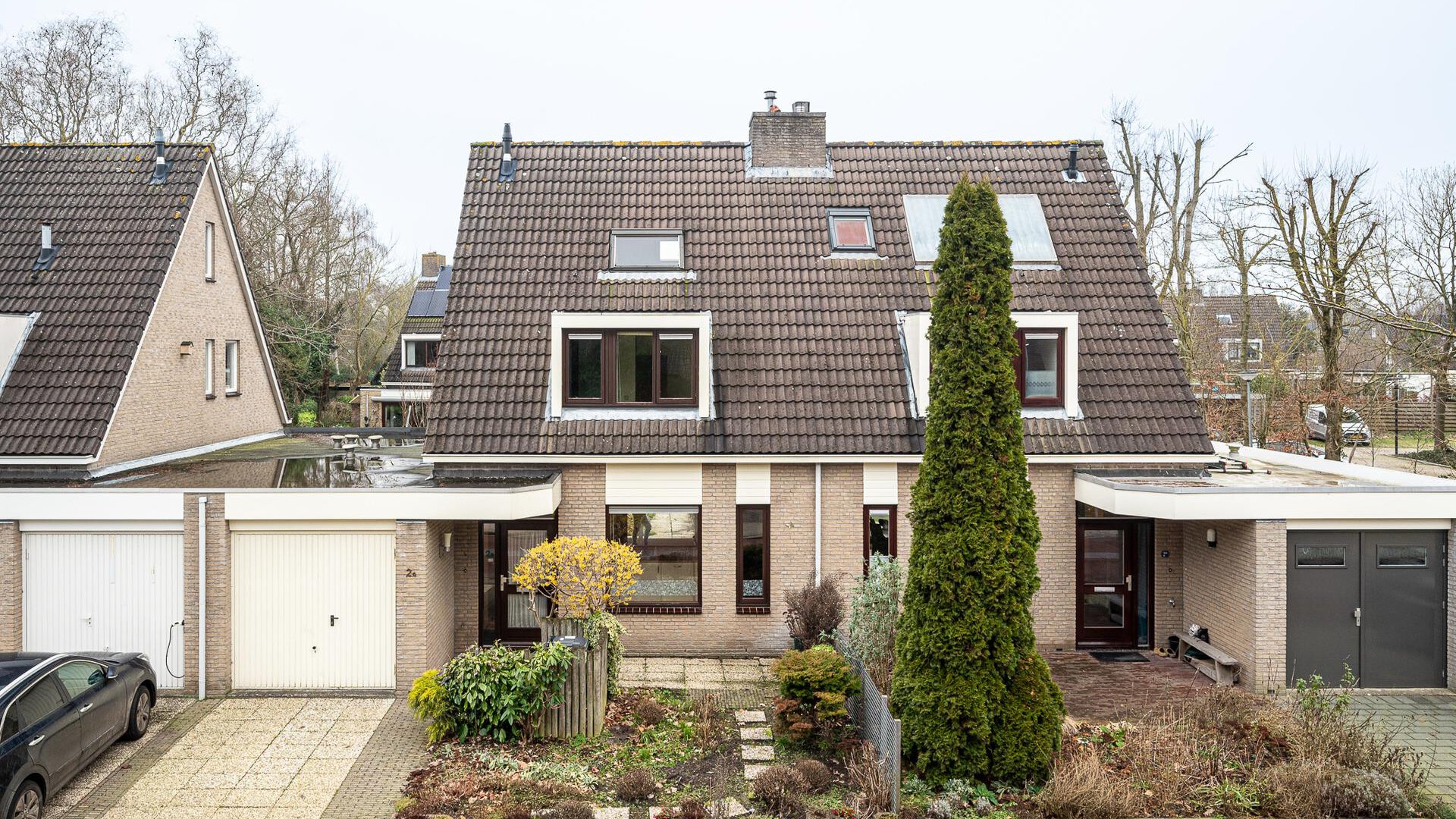 Een hert