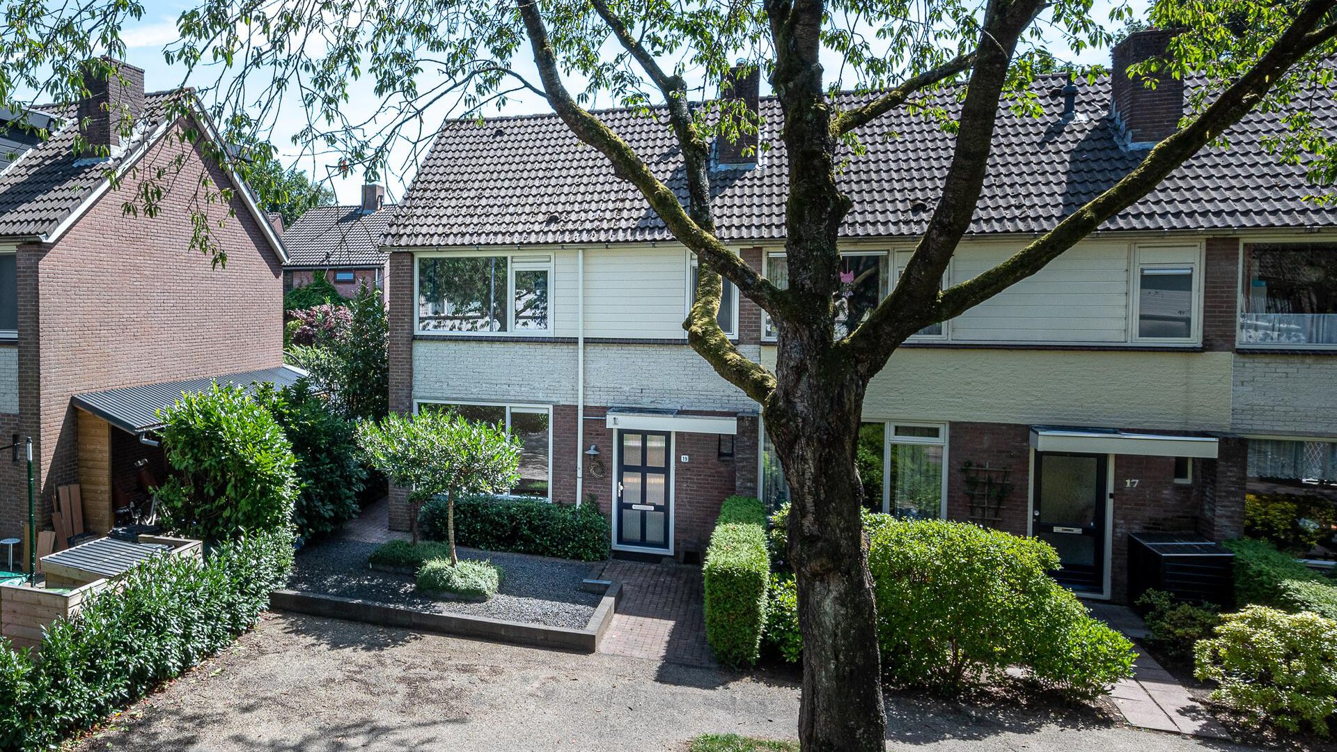 Een hert