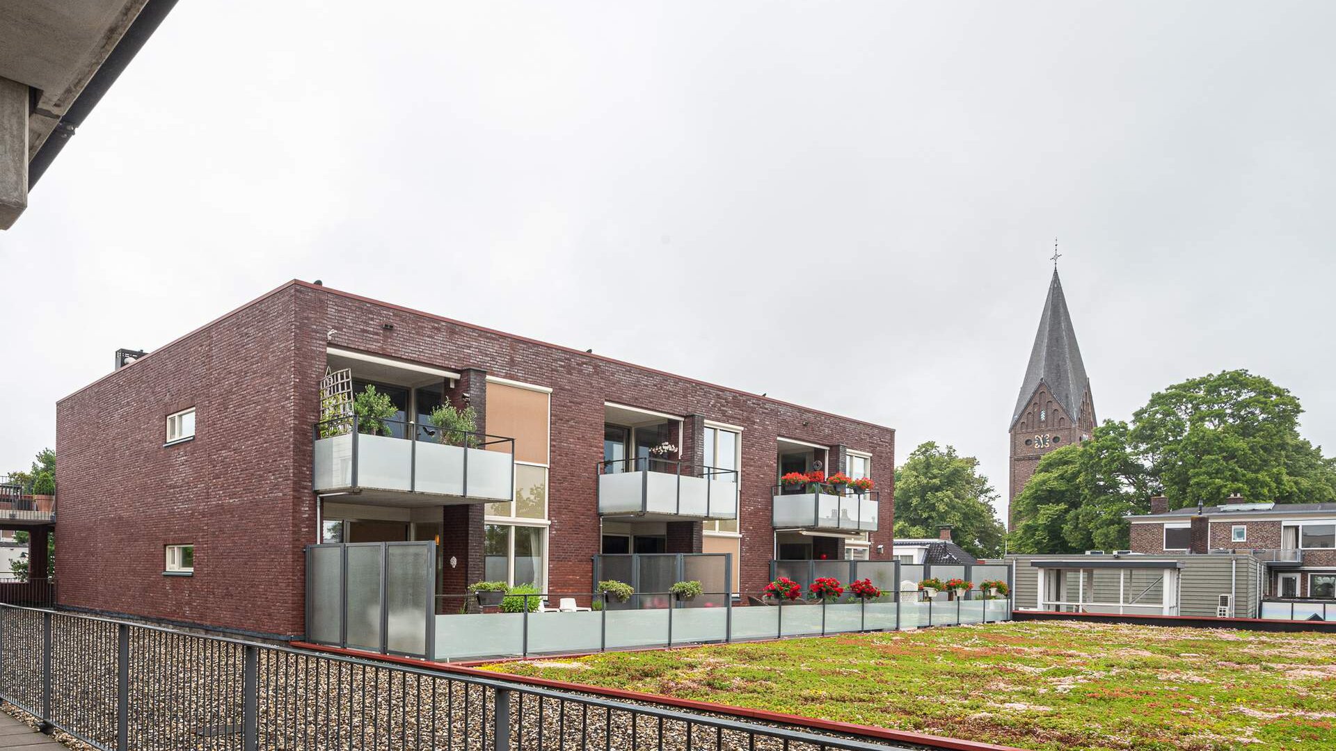 Een hert