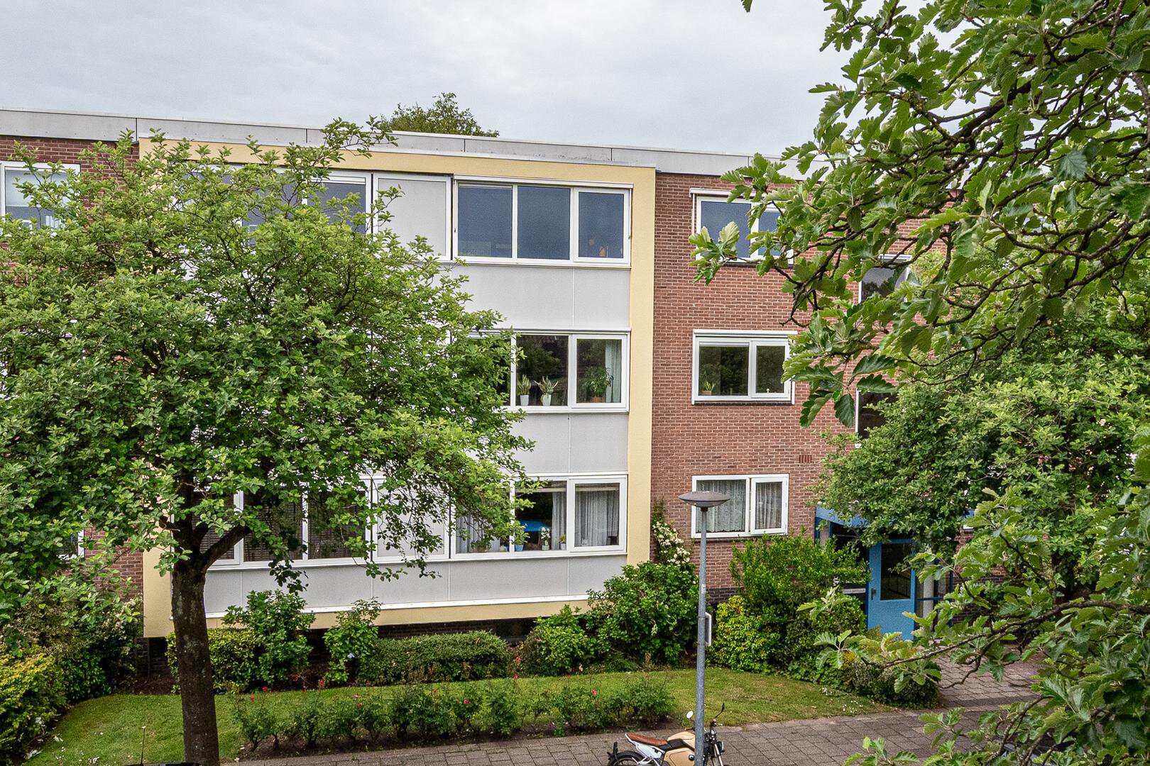 Een hert