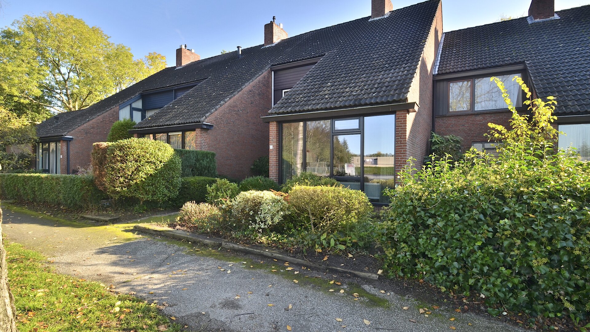 Een hert