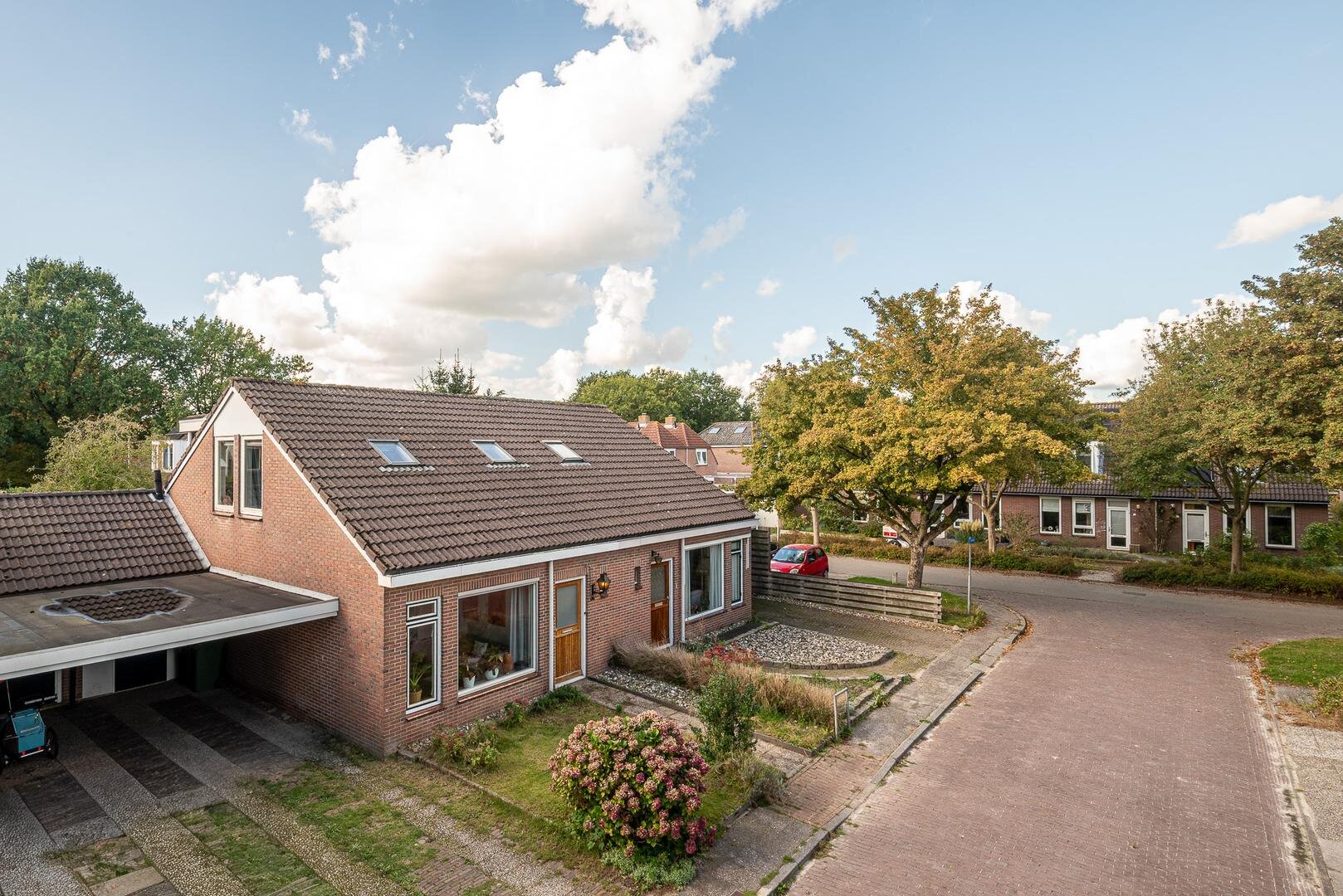 Een hert