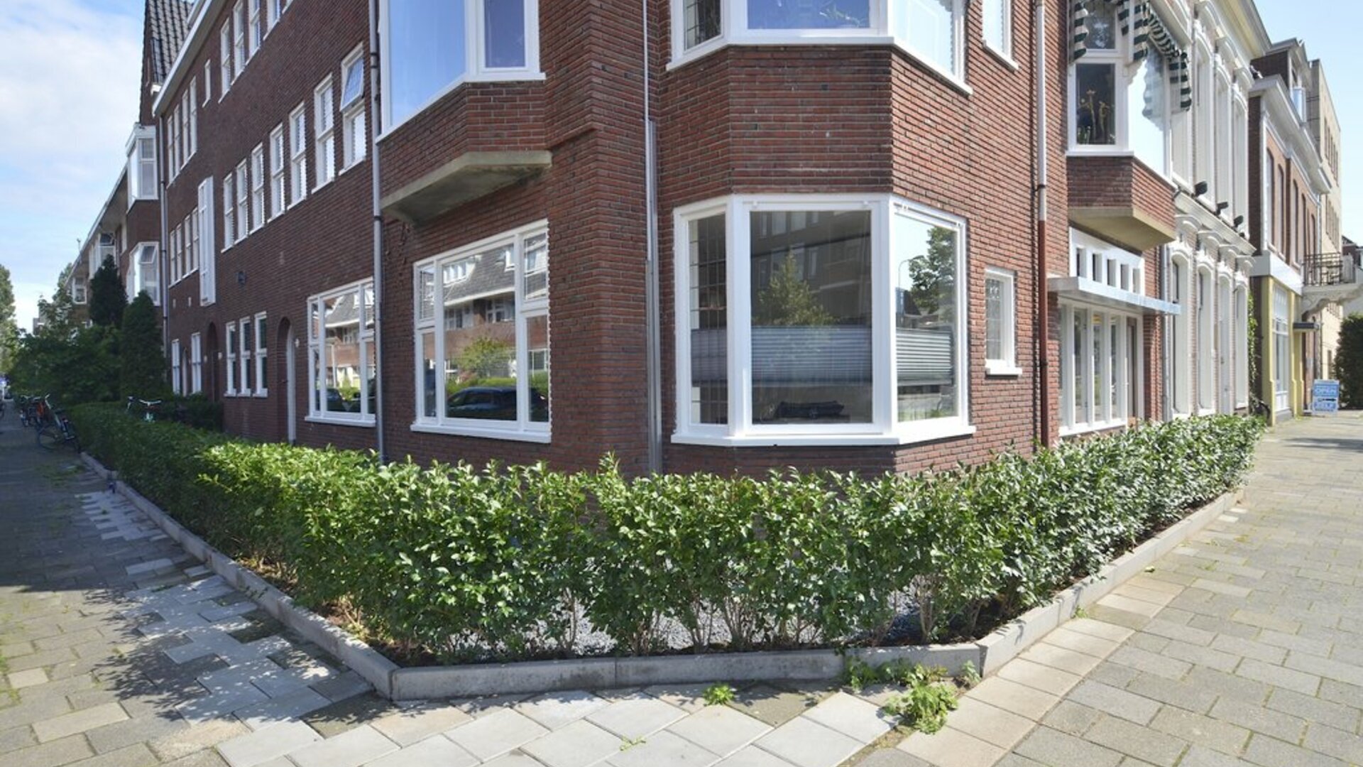 Een hert