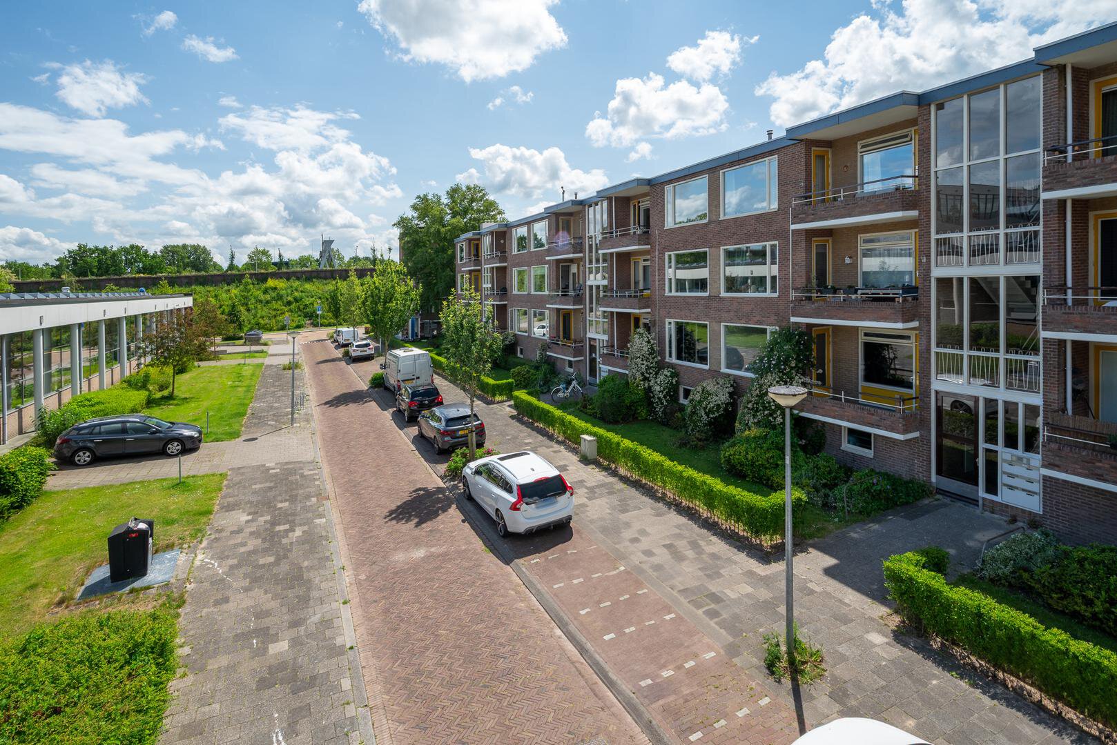 Een hert