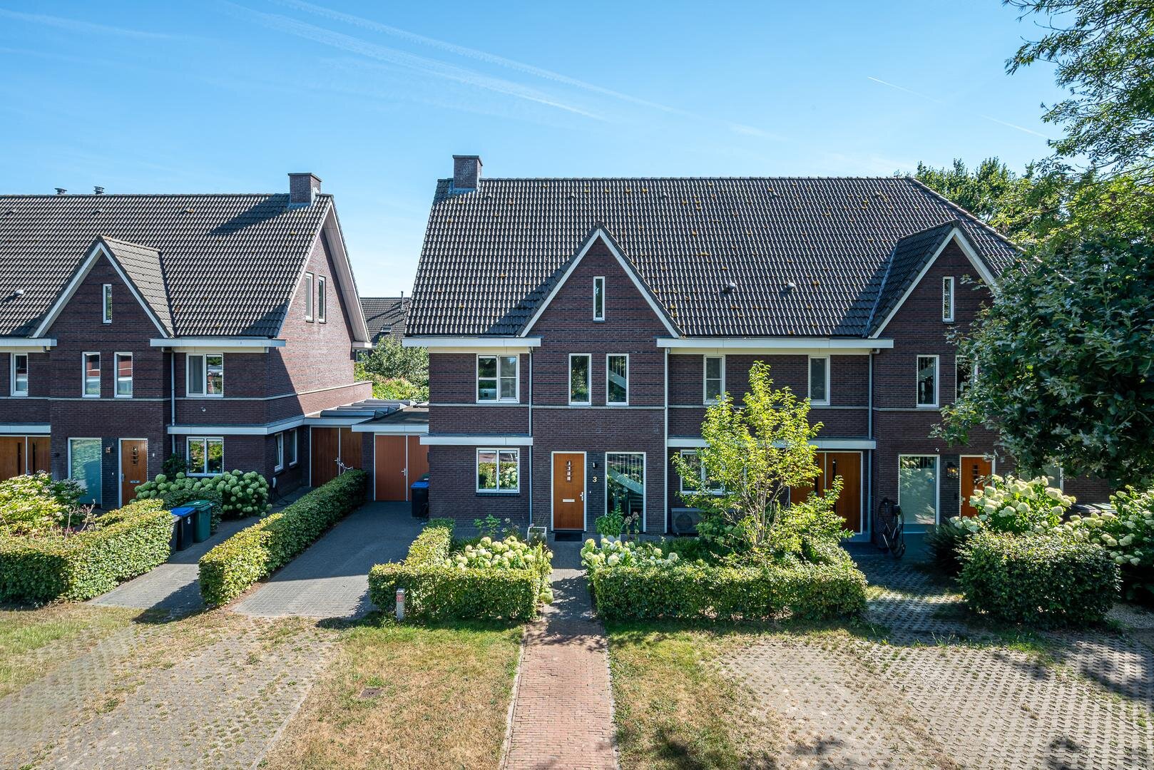 Een hert