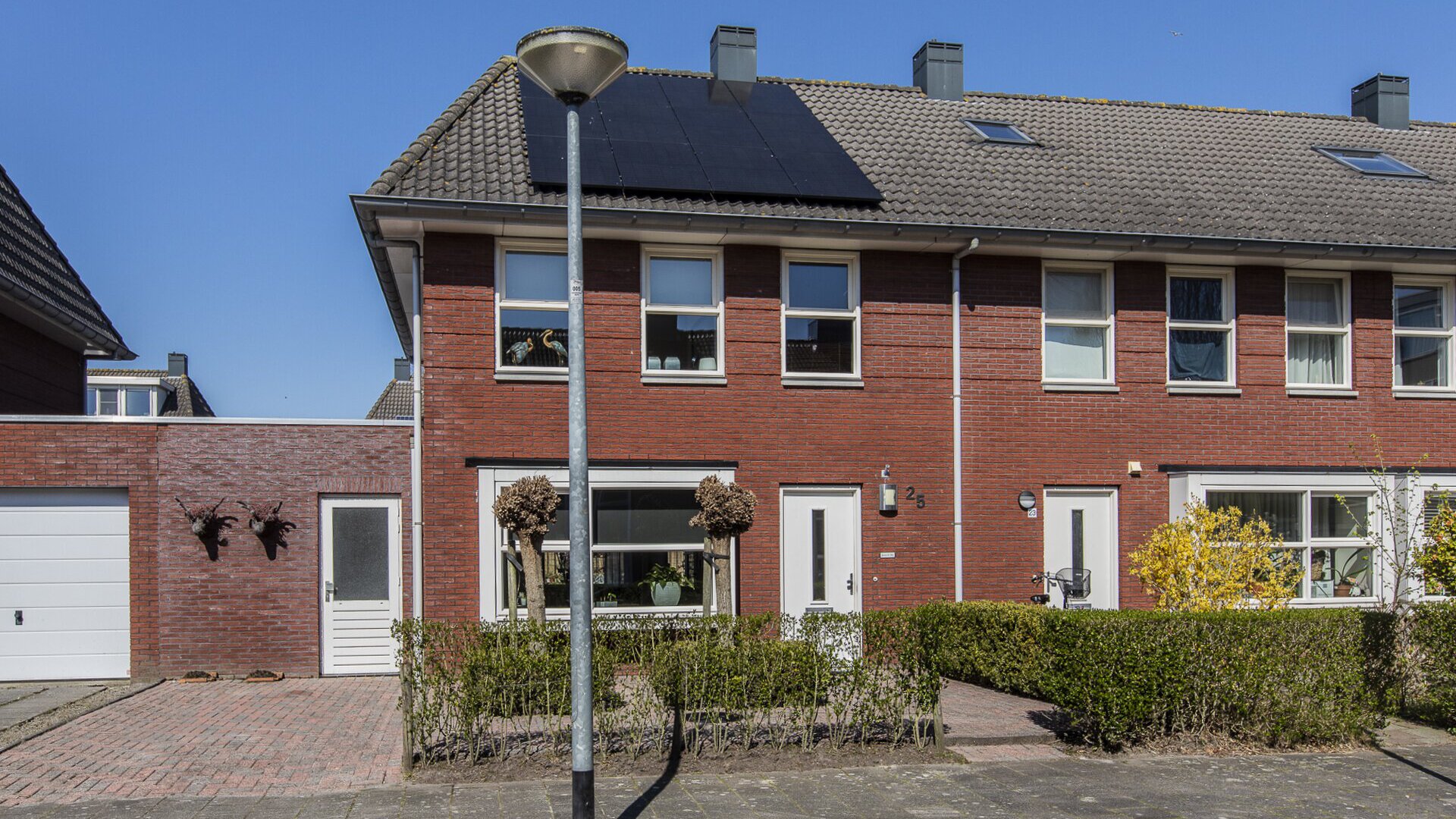 Een hert