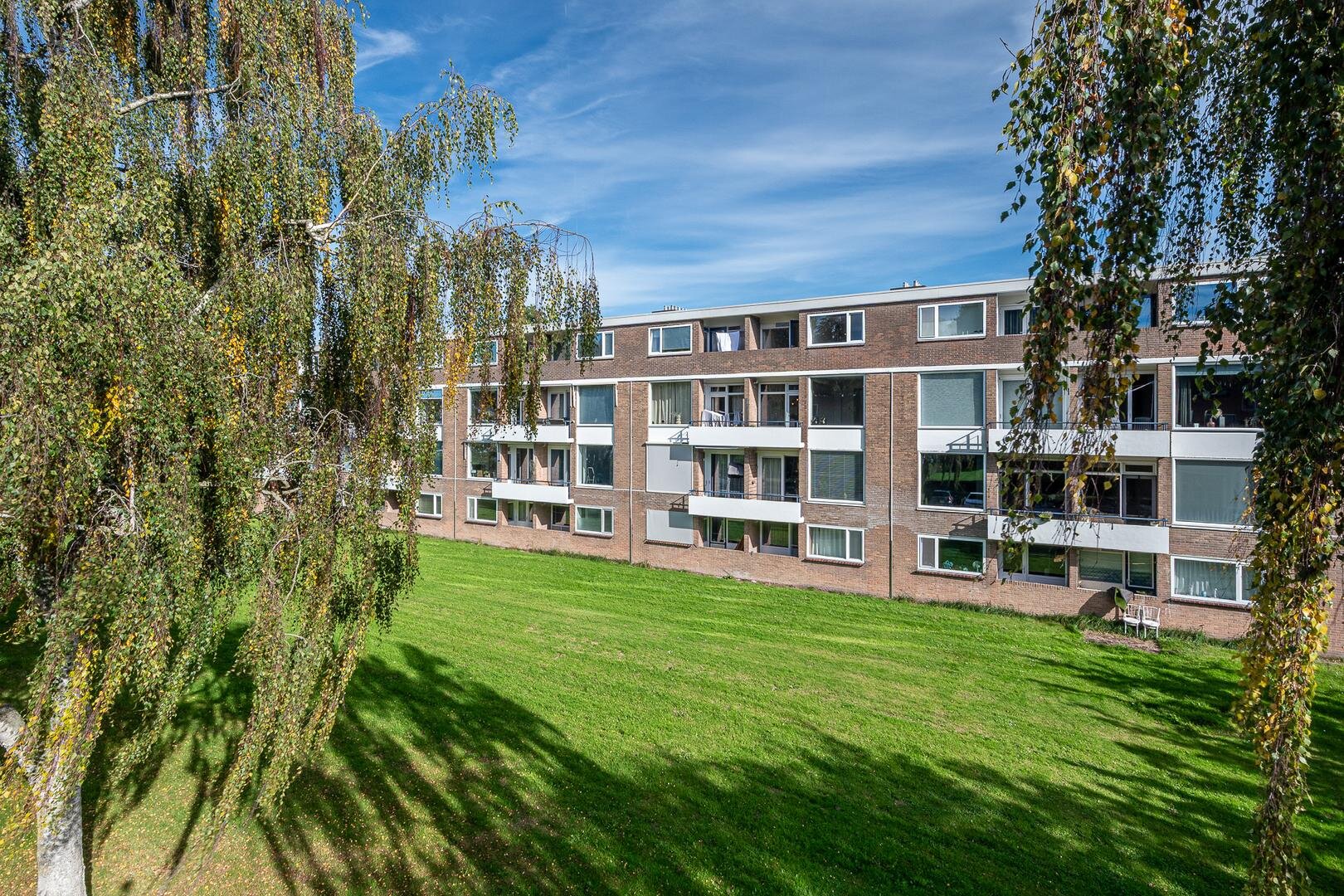 Een hert