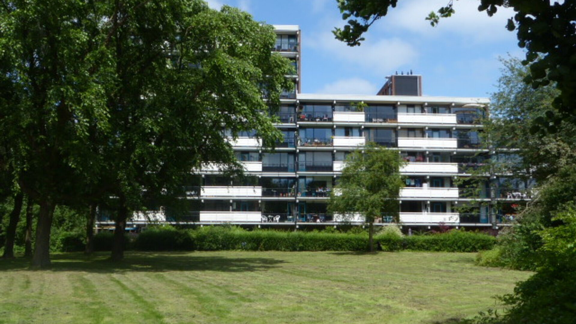 Een hert