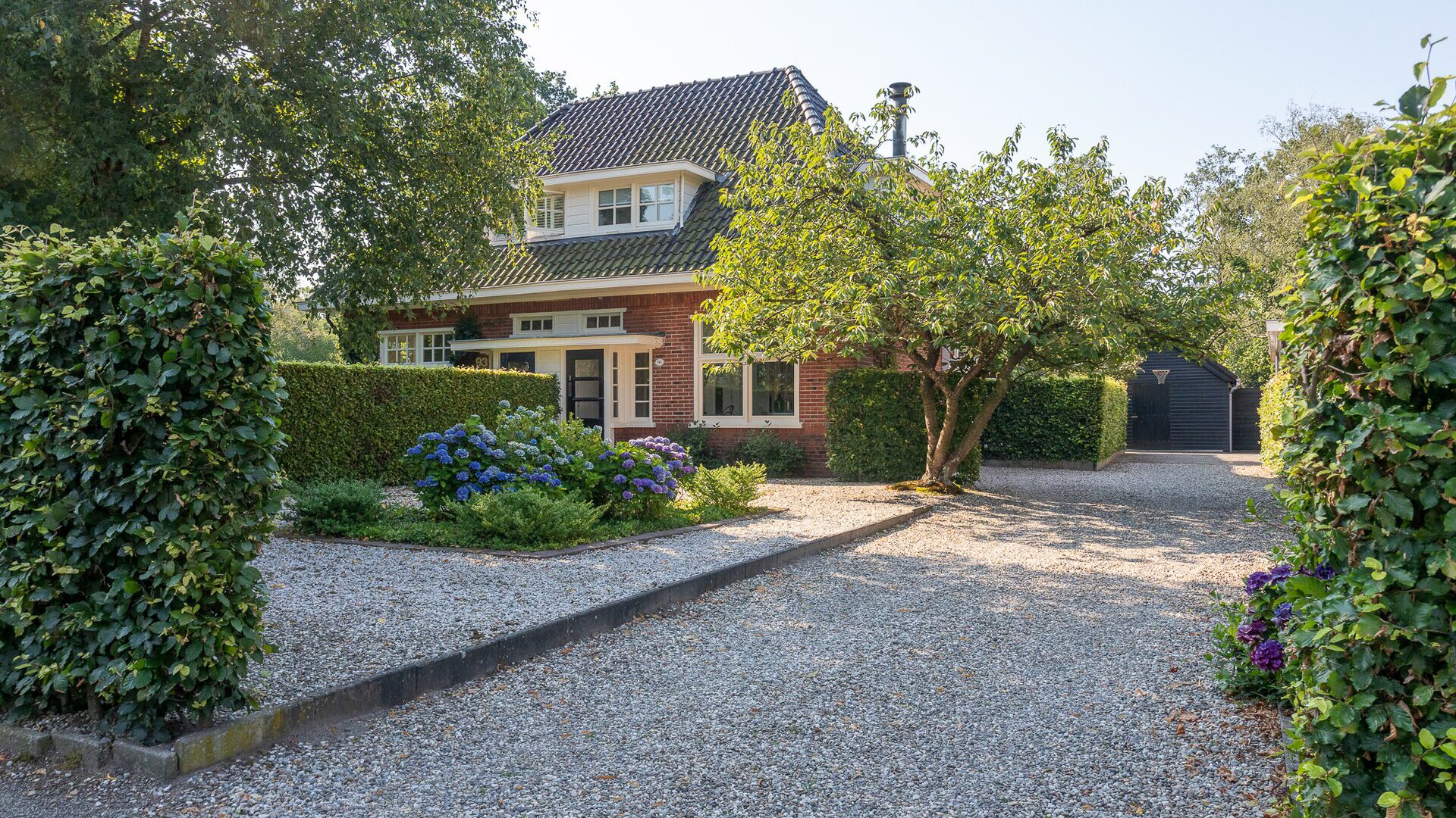 Een hert