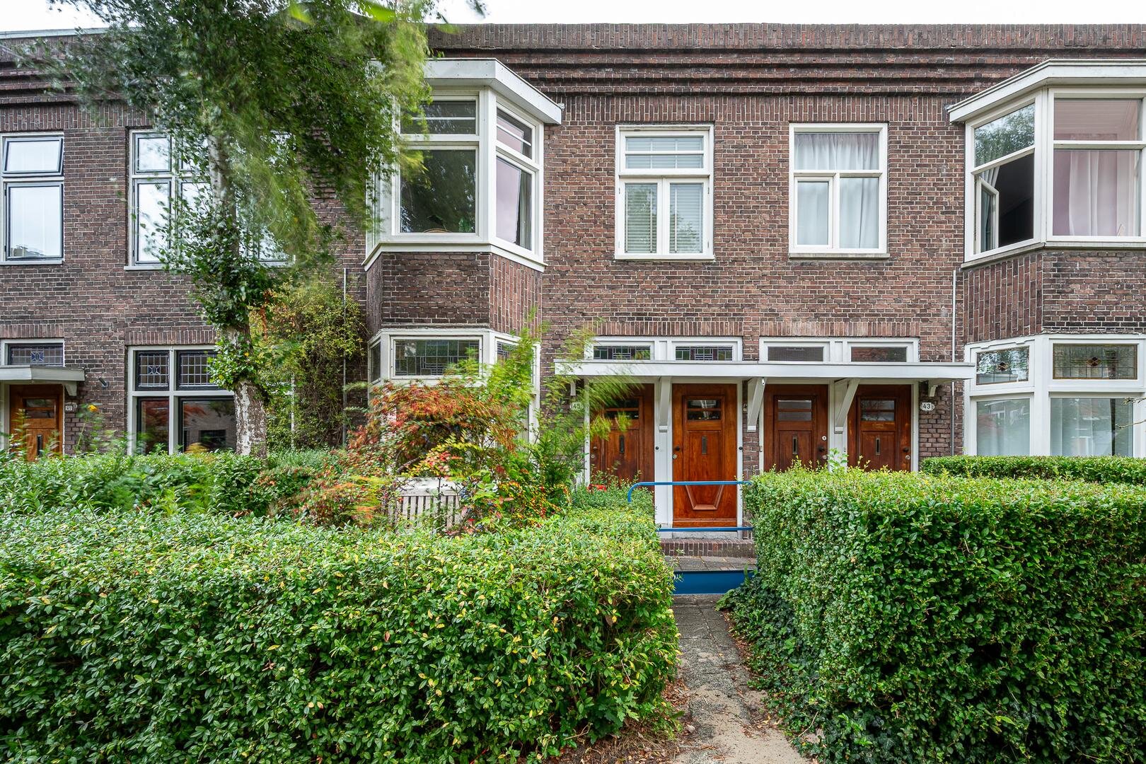 Een hert