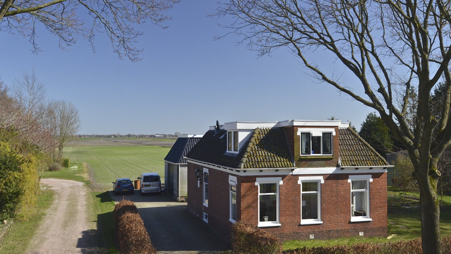 Een hert