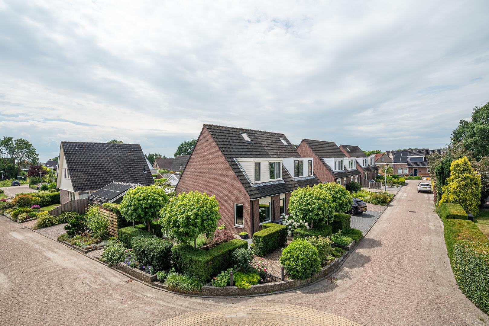 Een hert
