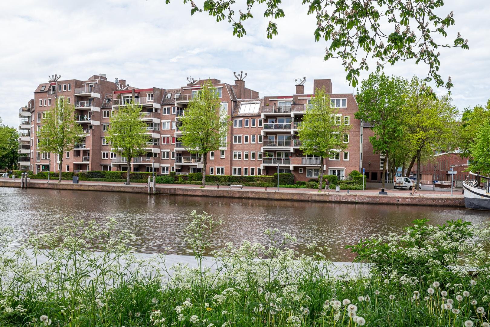 Een hert