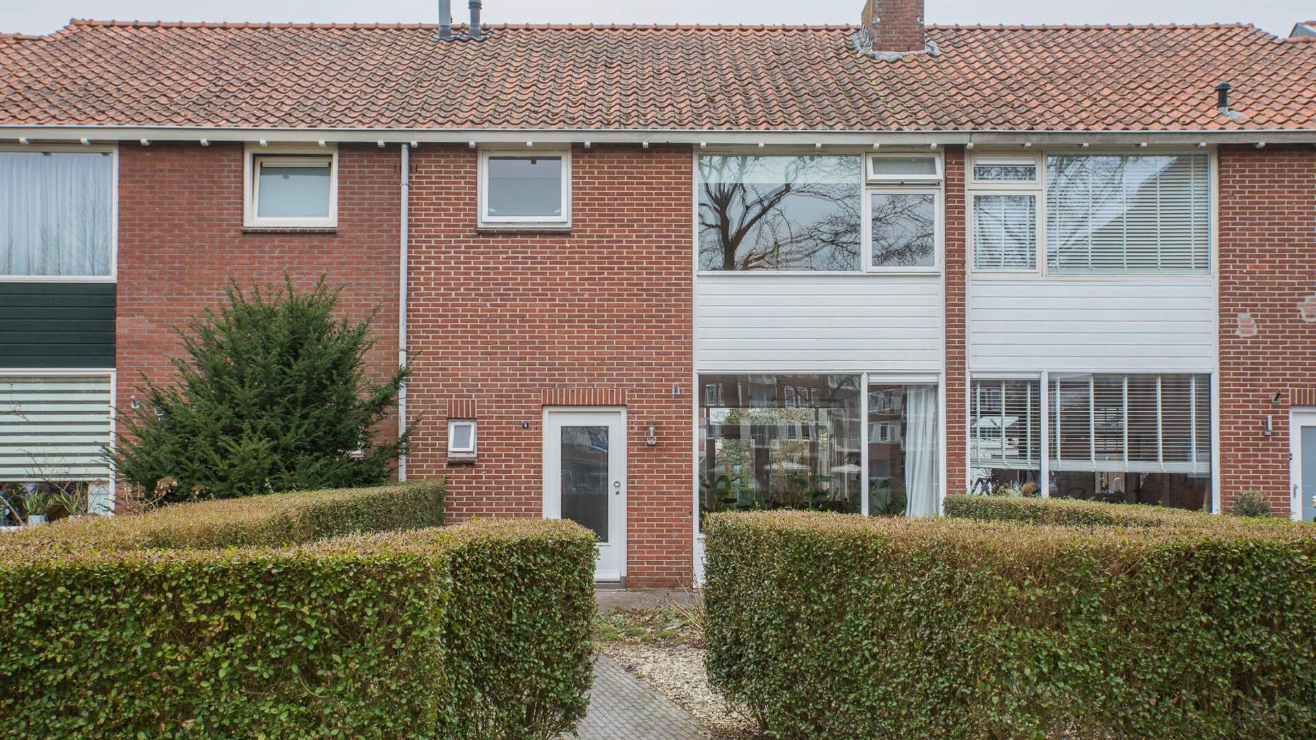 Een hert