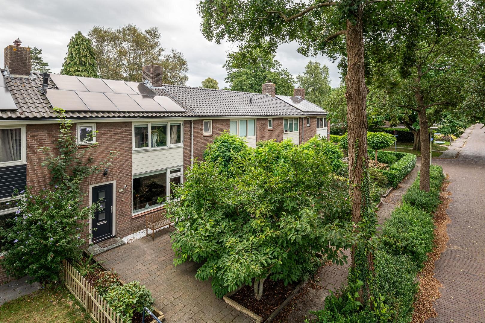 Een hert