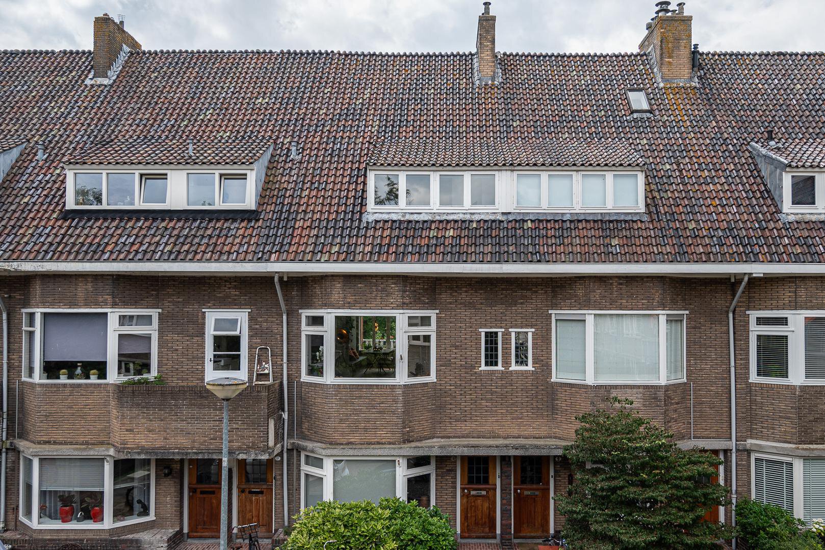 Een hert