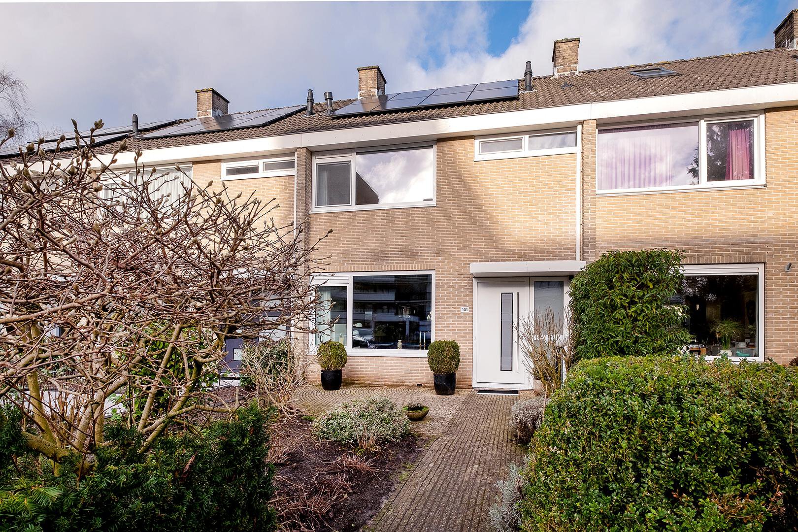 Een hert
