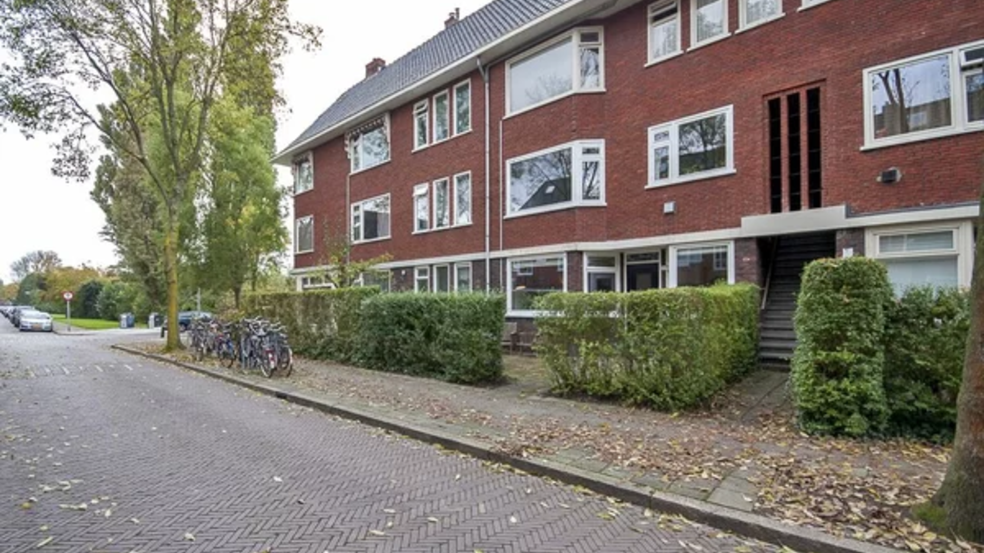 Een hert