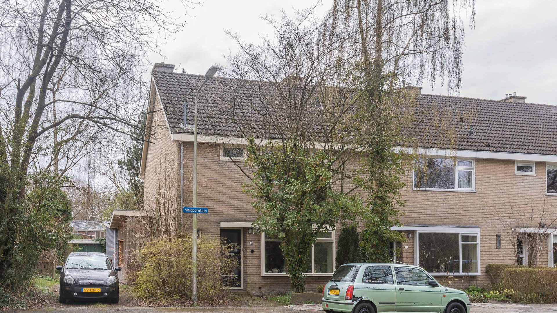 Een hert