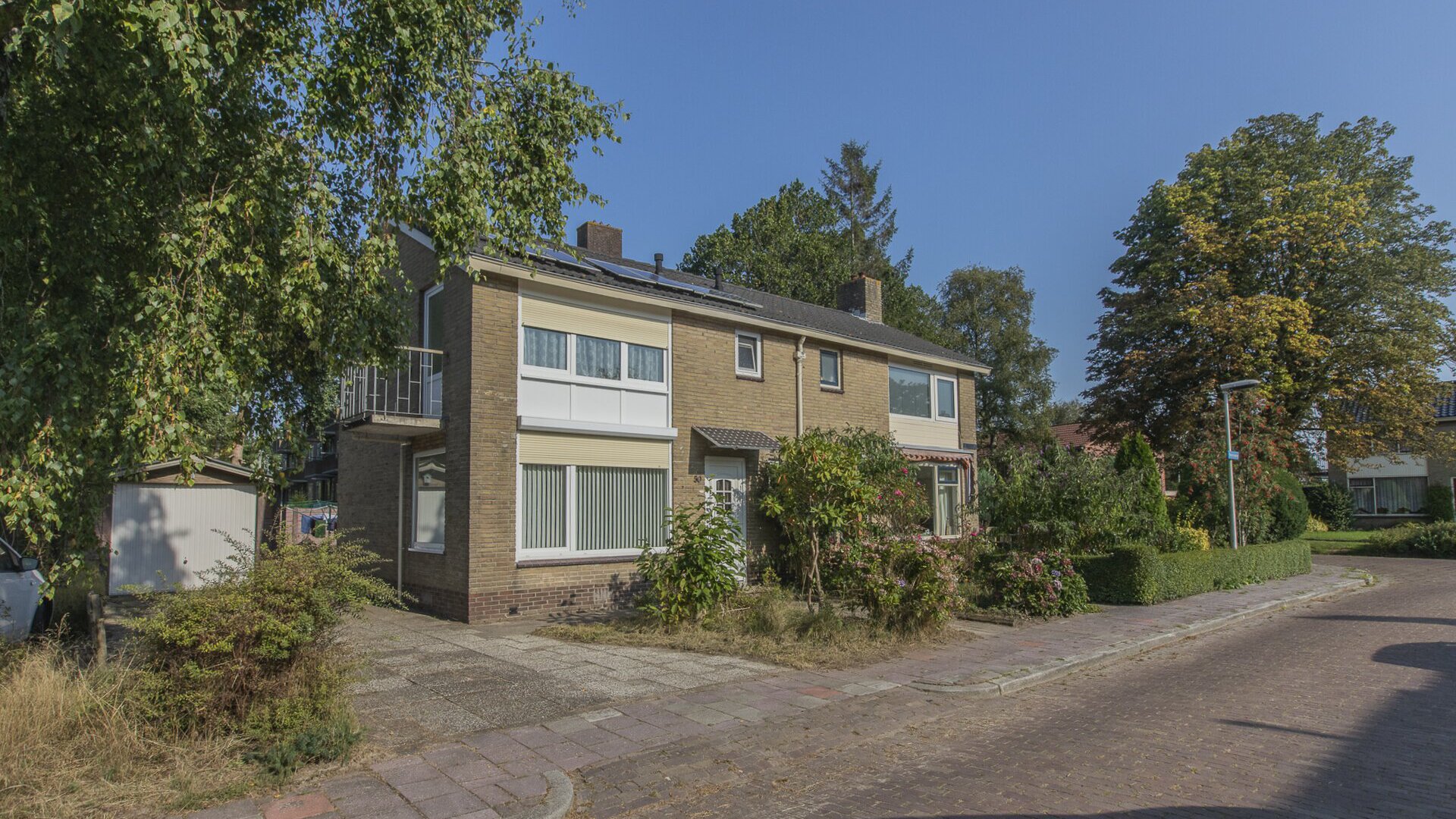 Een hert
